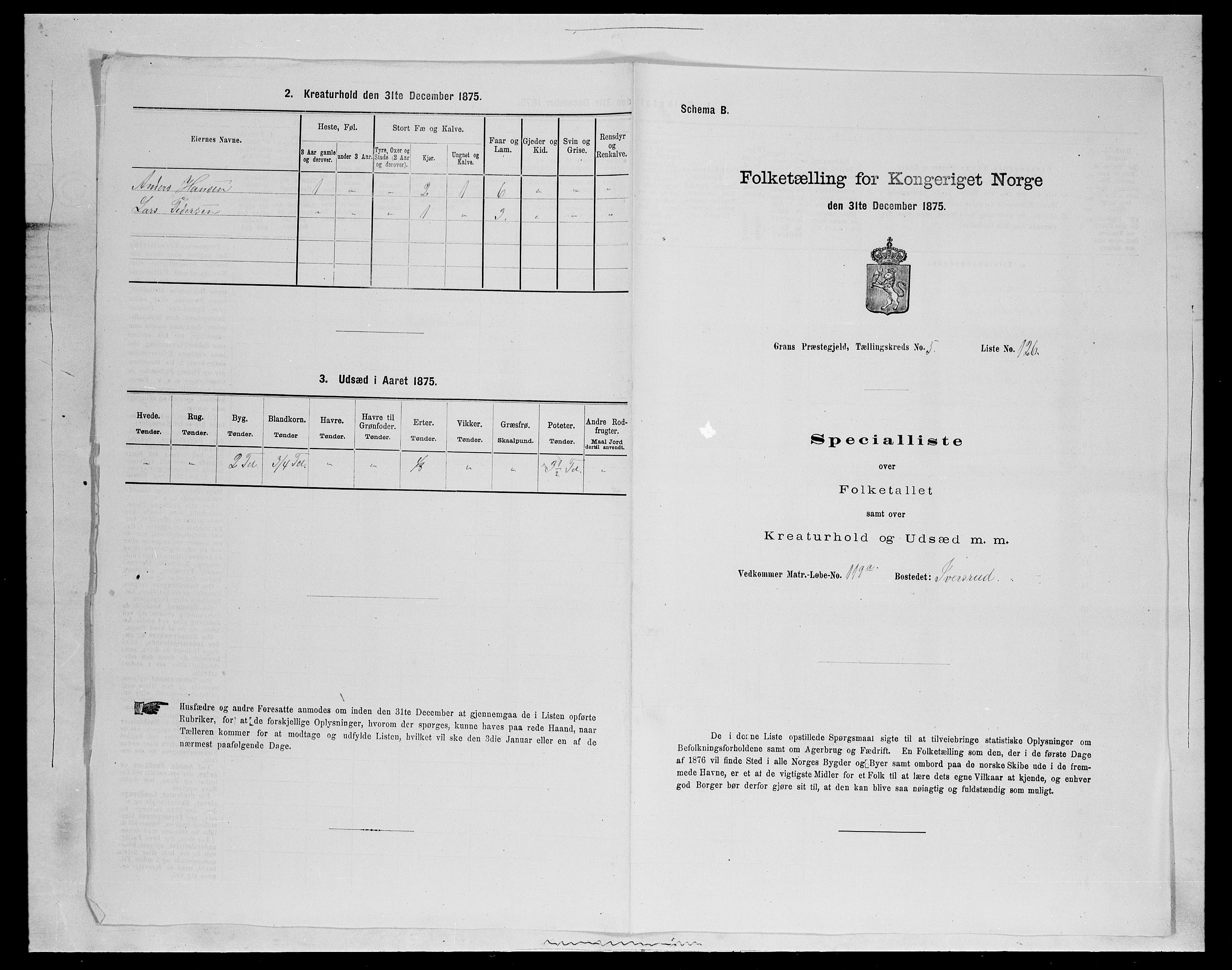 SAH, Folketelling 1875 for 0534P Gran prestegjeld, 1875, s. 1016