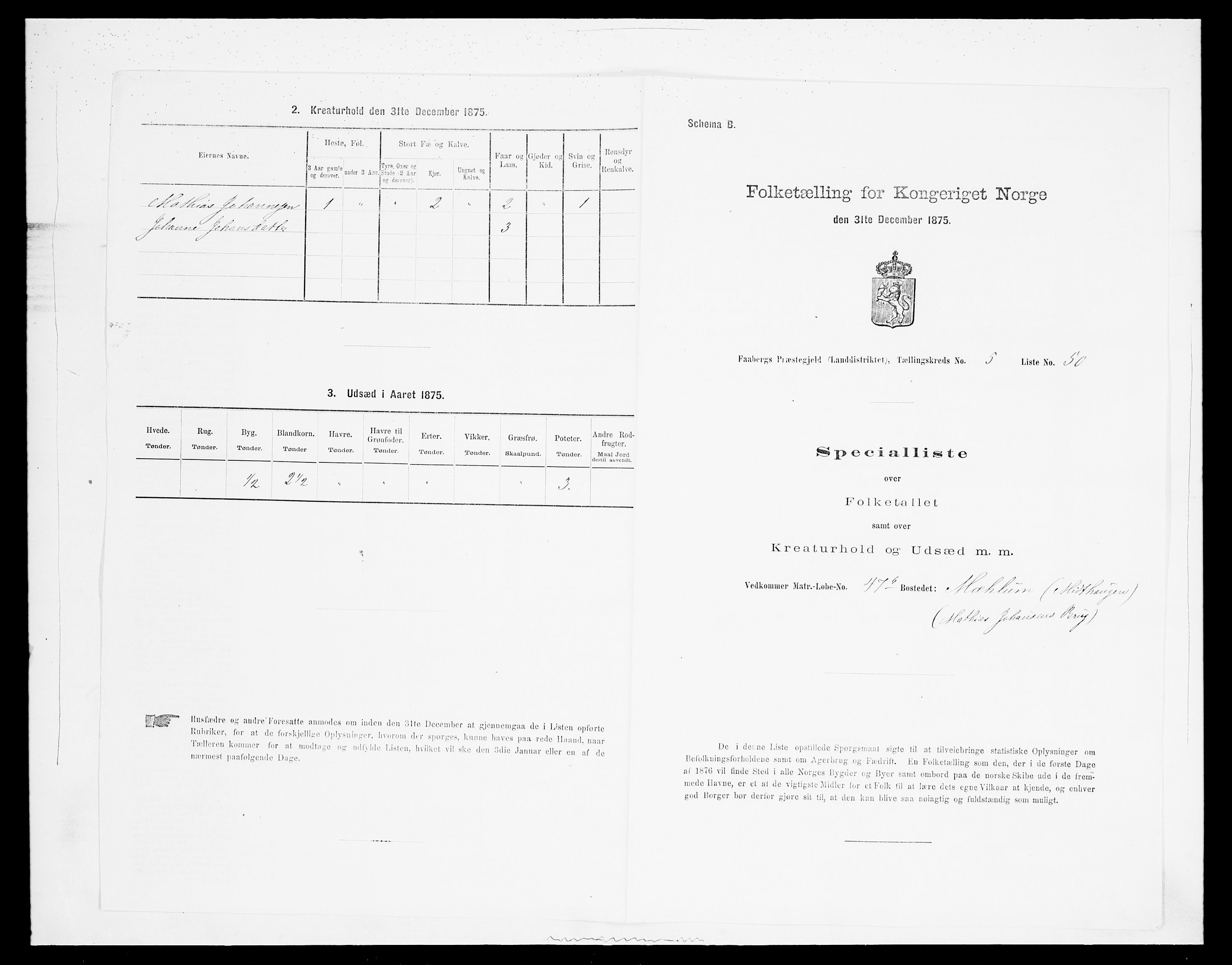 SAH, Folketelling 1875 for 0524L Fåberg prestegjeld, Fåberg sokn og Lillehammer landsokn, 1875, s. 680