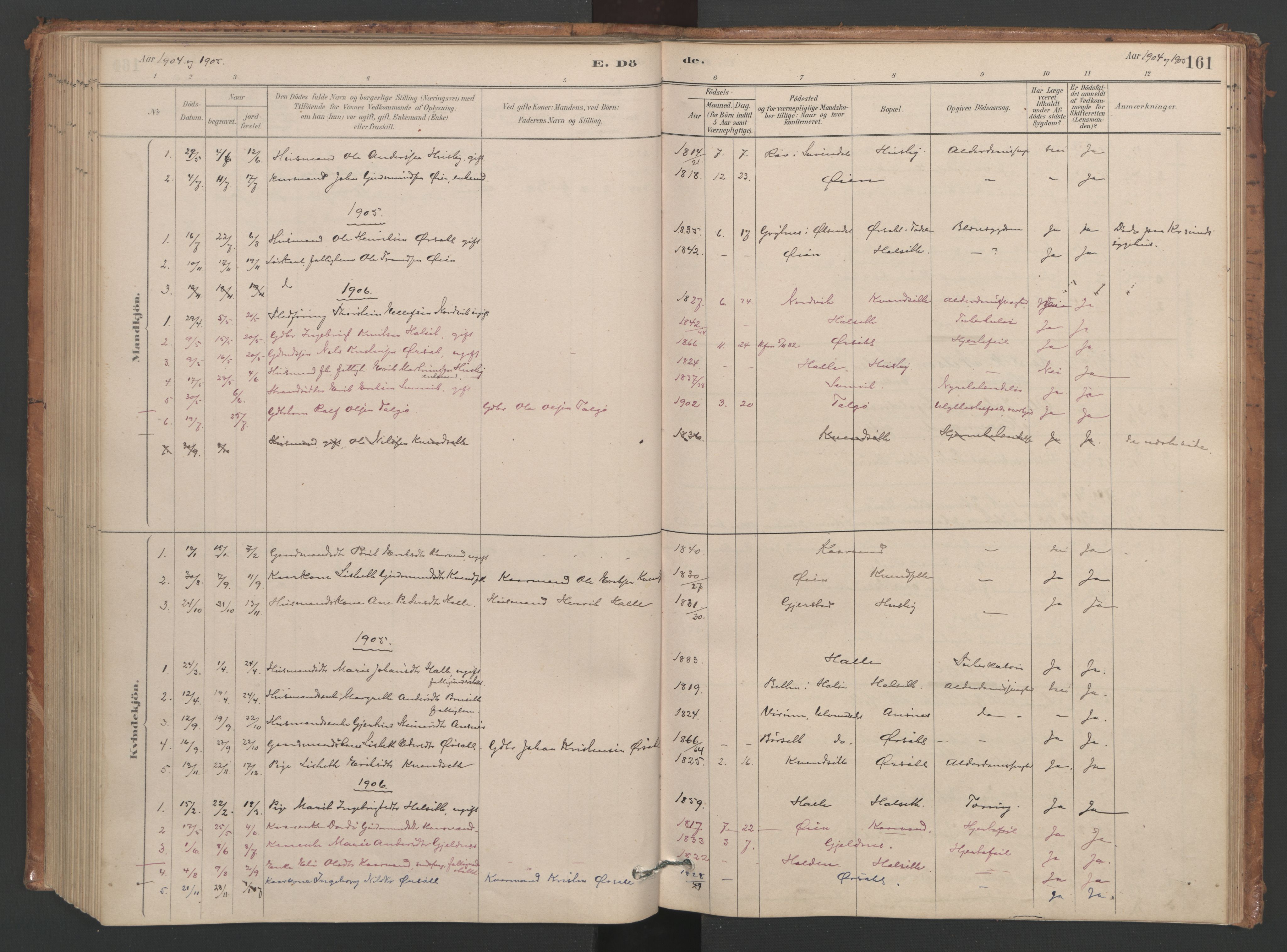 Ministerialprotokoller, klokkerbøker og fødselsregistre - Møre og Romsdal, AV/SAT-A-1454/593/L1034: Ministerialbok nr. 593A01, 1879-1911, s. 161