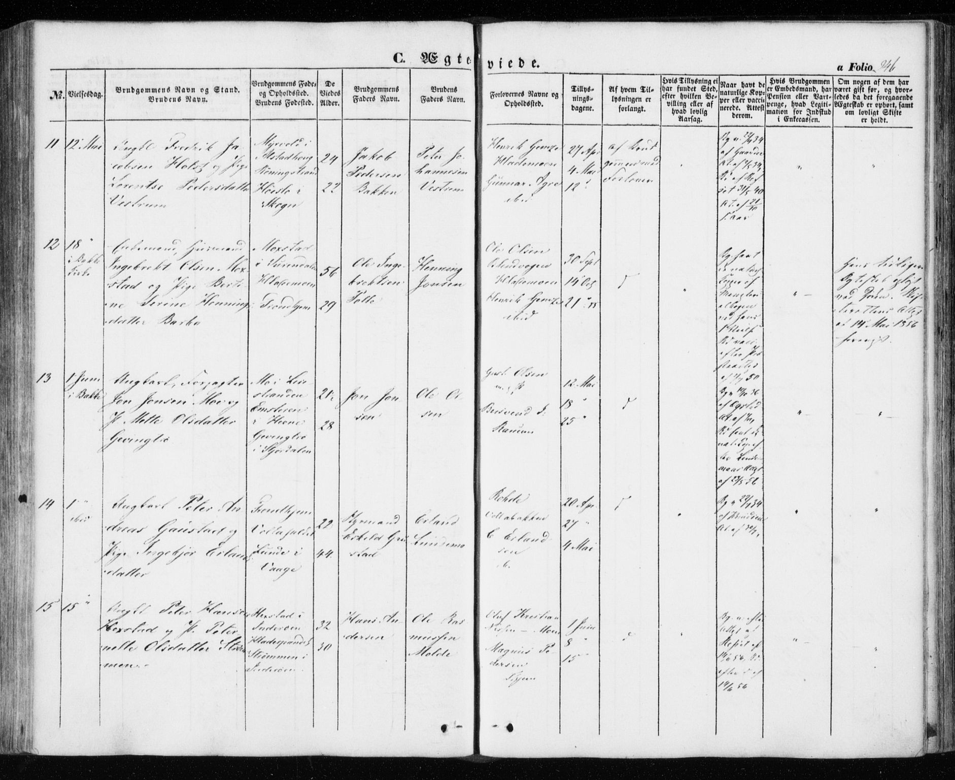 Ministerialprotokoller, klokkerbøker og fødselsregistre - Sør-Trøndelag, SAT/A-1456/606/L0291: Ministerialbok nr. 606A06, 1848-1856, s. 246
