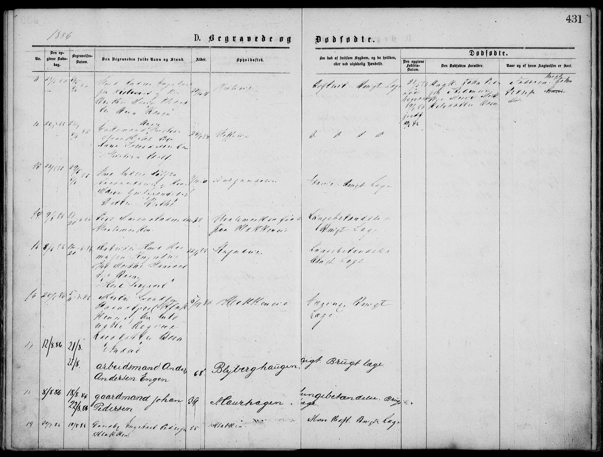 Norderhov kirkebøker, AV/SAKO-A-237/G/Gb/L0001: Klokkerbok nr. II 1, 1876-1899, s. 431