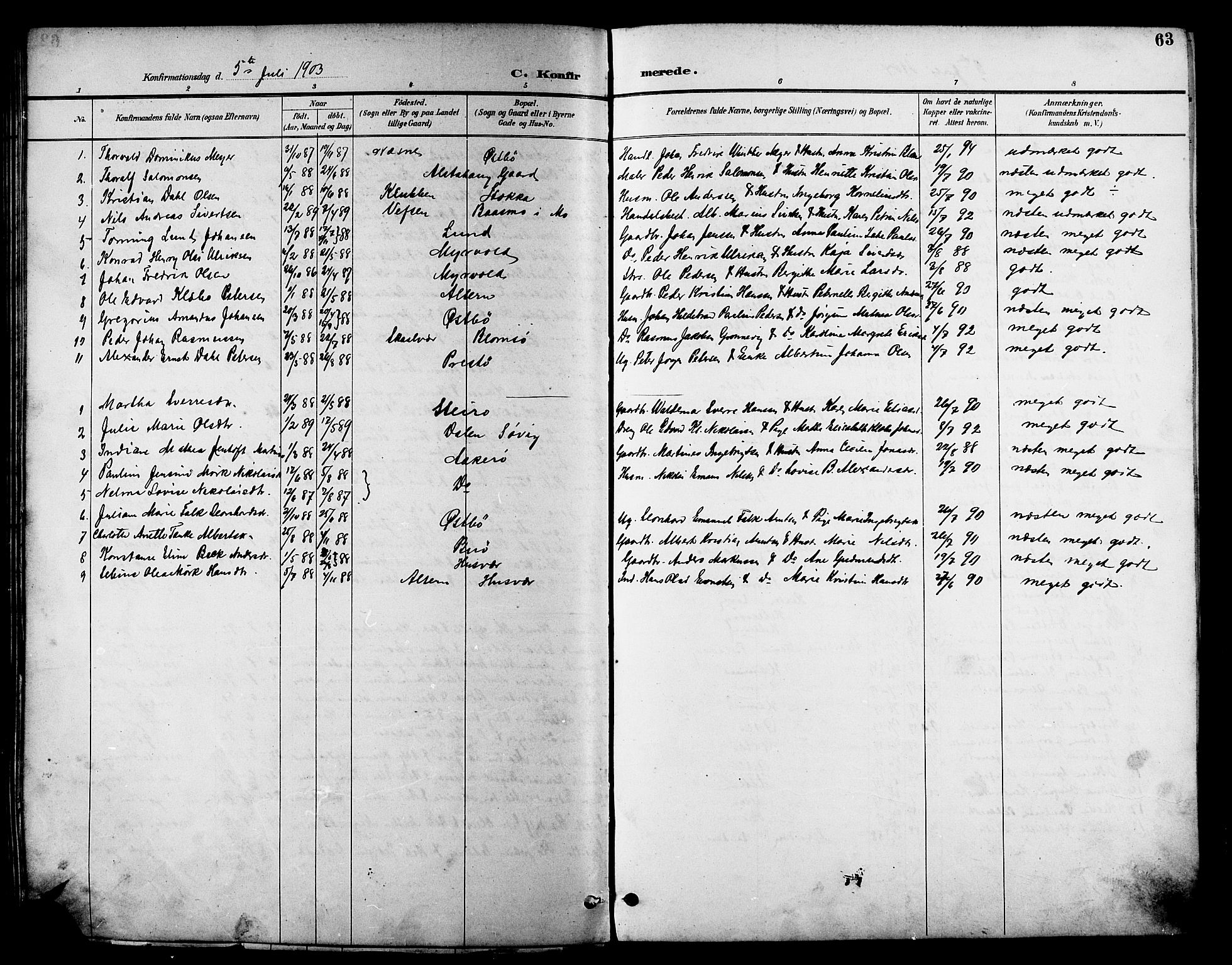 Ministerialprotokoller, klokkerbøker og fødselsregistre - Nordland, AV/SAT-A-1459/830/L0463: Klokkerbok nr. 830C05, 1895-1906, s. 63