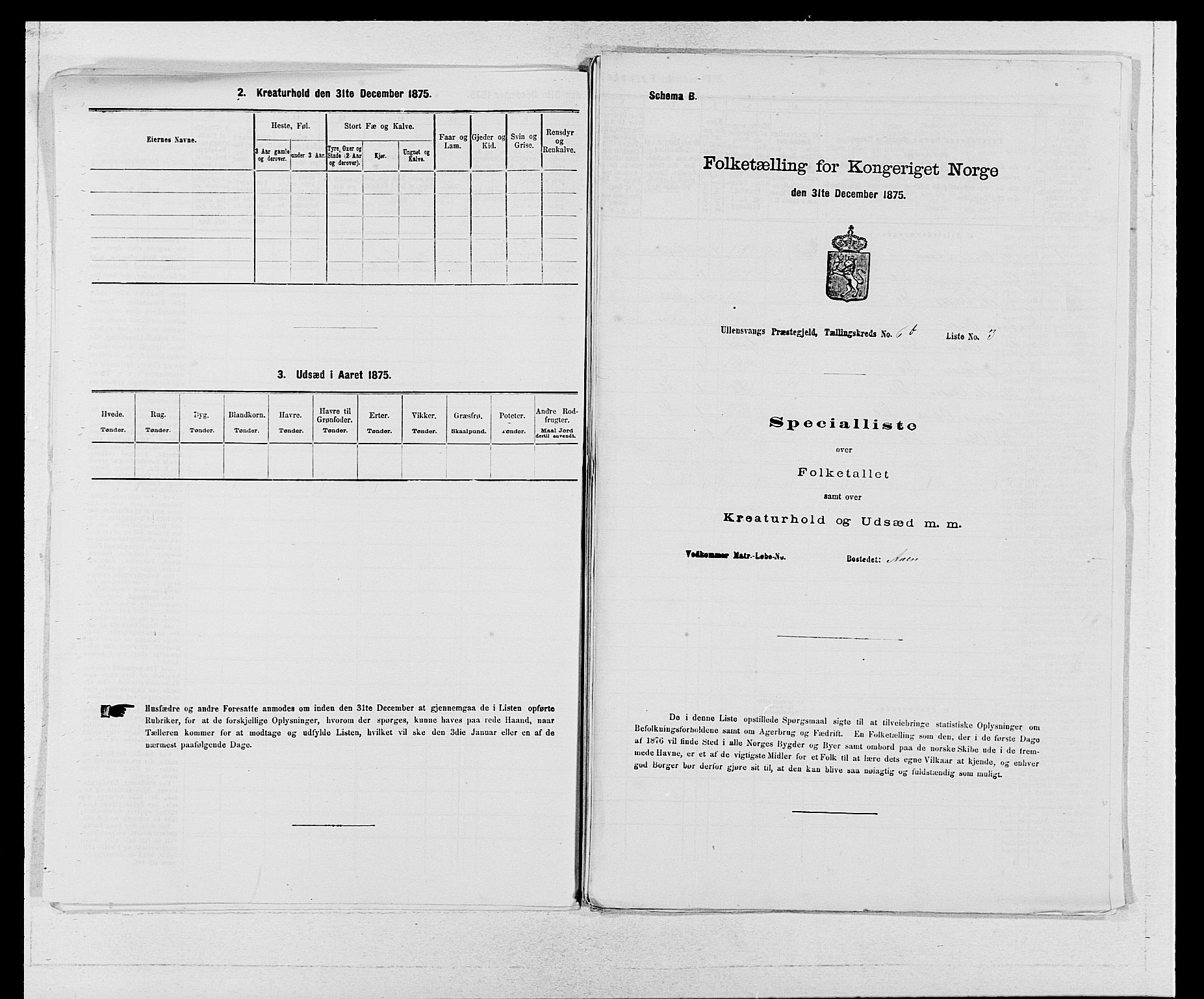 SAB, Folketelling 1875 for 1230P Ullensvang prestegjeld, 1875, s. 507