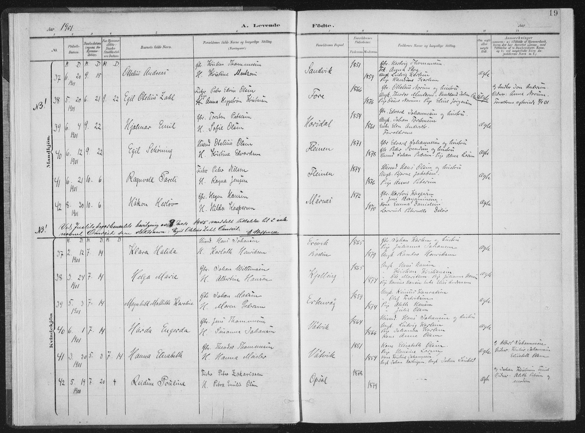 Ministerialprotokoller, klokkerbøker og fødselsregistre - Nordland, AV/SAT-A-1459/805/L0102: Ministerialbok nr. 805A08I, 1900-1909, s. 19