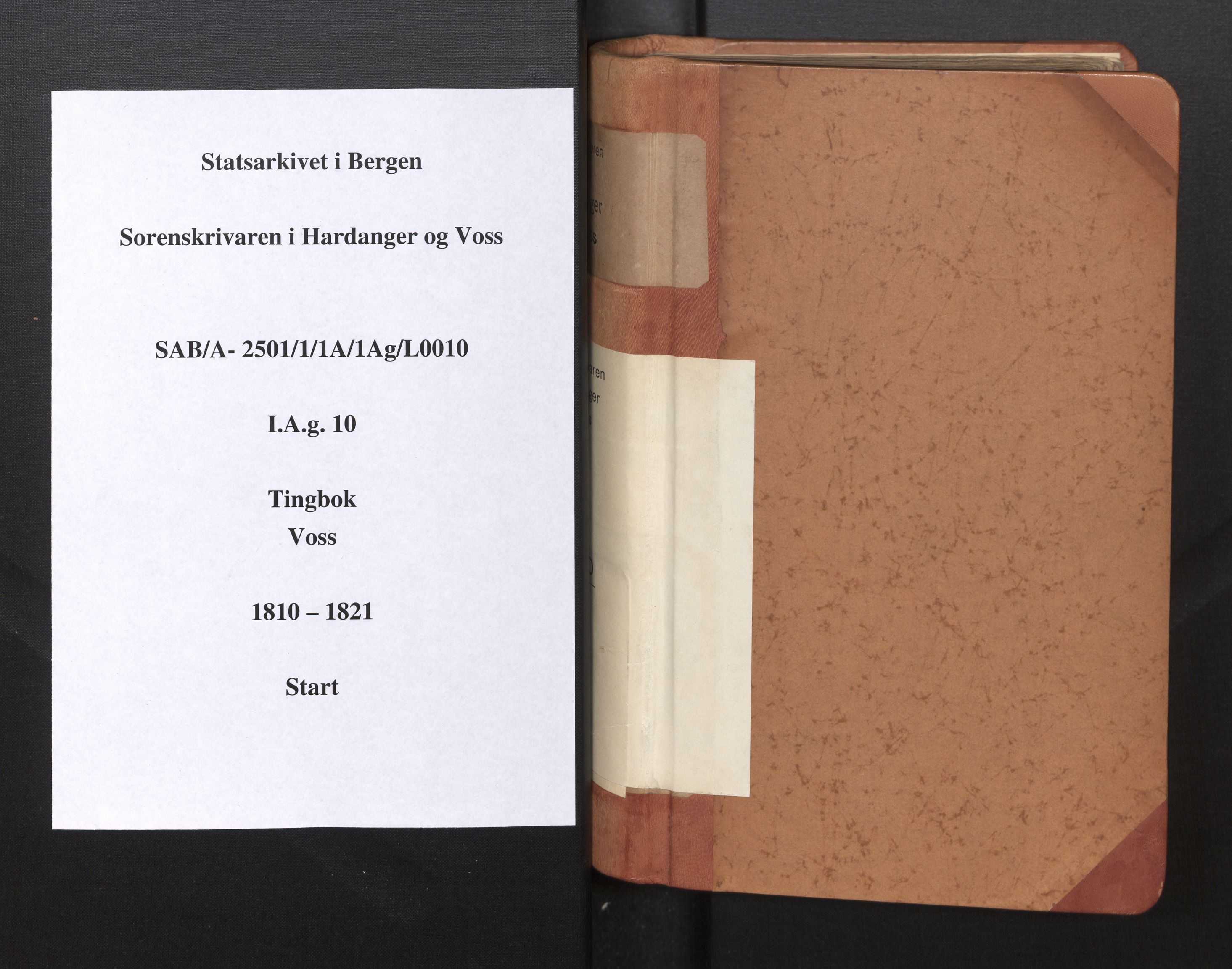 Hardanger og Voss sorenskriveri, SAB/A-2501/1/1A/1Ag/L0010: Tingbok for Voss, 1810-1821