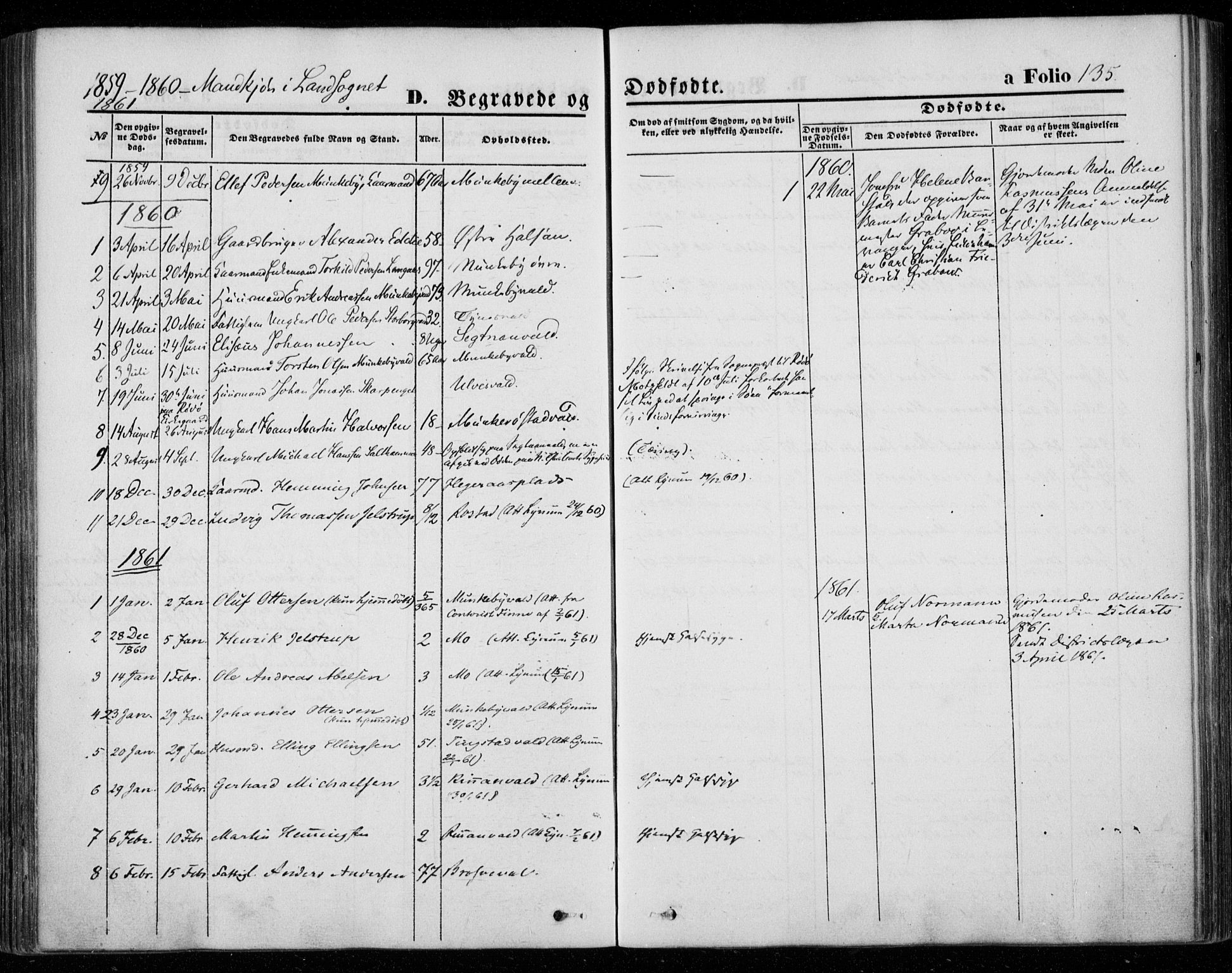 Ministerialprotokoller, klokkerbøker og fødselsregistre - Nord-Trøndelag, SAT/A-1458/720/L0184: Ministerialbok nr. 720A02 /2, 1855-1863, s. 135