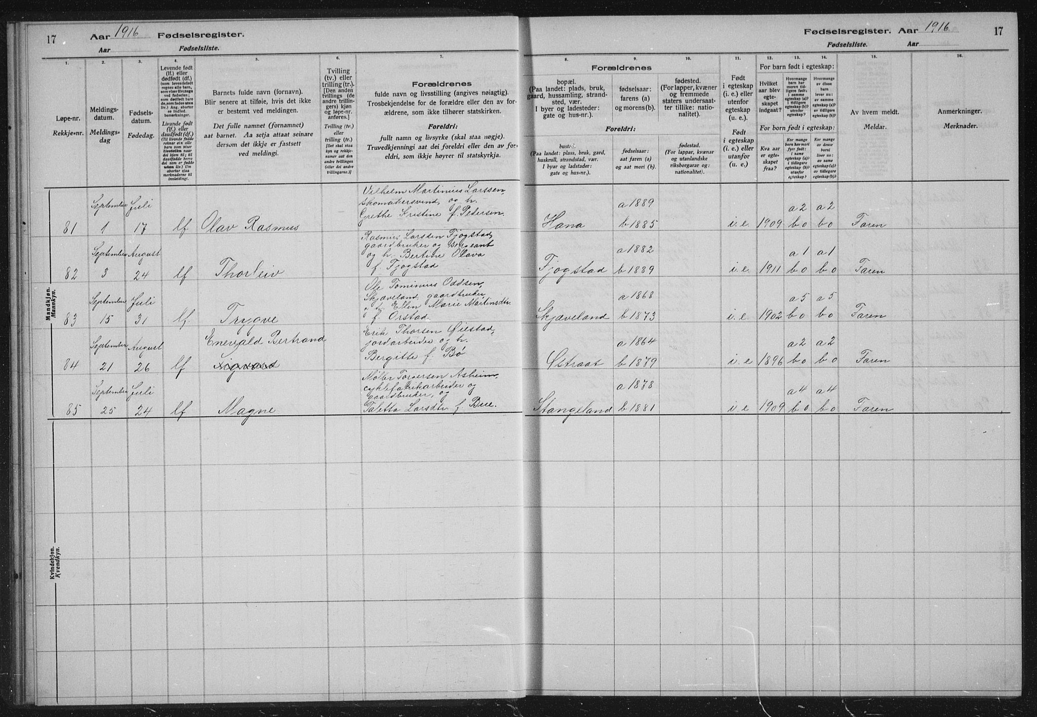 Høyland sokneprestkontor, AV/SAST-A-101799/002/O/L0001: Fødselsregister nr. 1, 1916-1924, s. 17