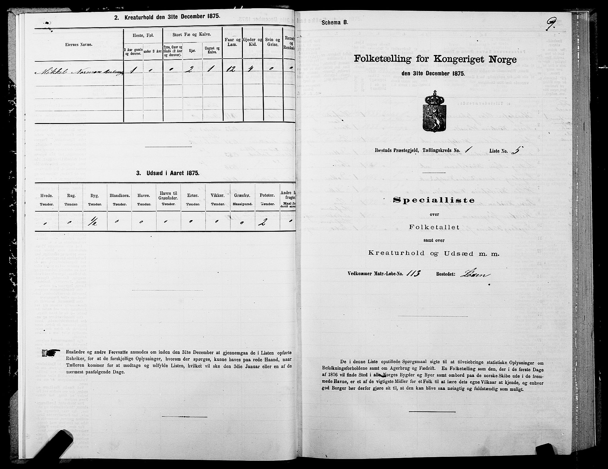 SATØ, Folketelling 1875 for 1917P Ibestad prestegjeld, 1875, s. 1009