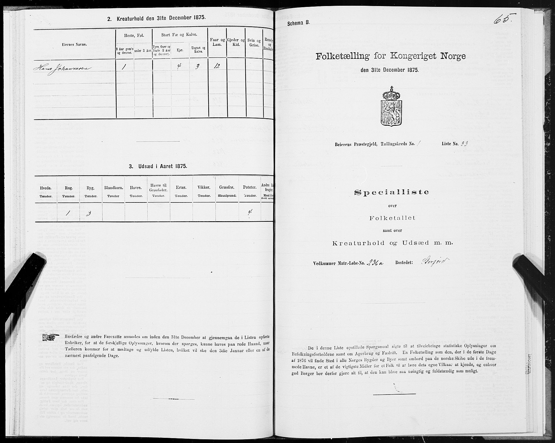 SAT, Folketelling 1875 for 1839P Beiarn prestegjeld, 1875, s. 1065