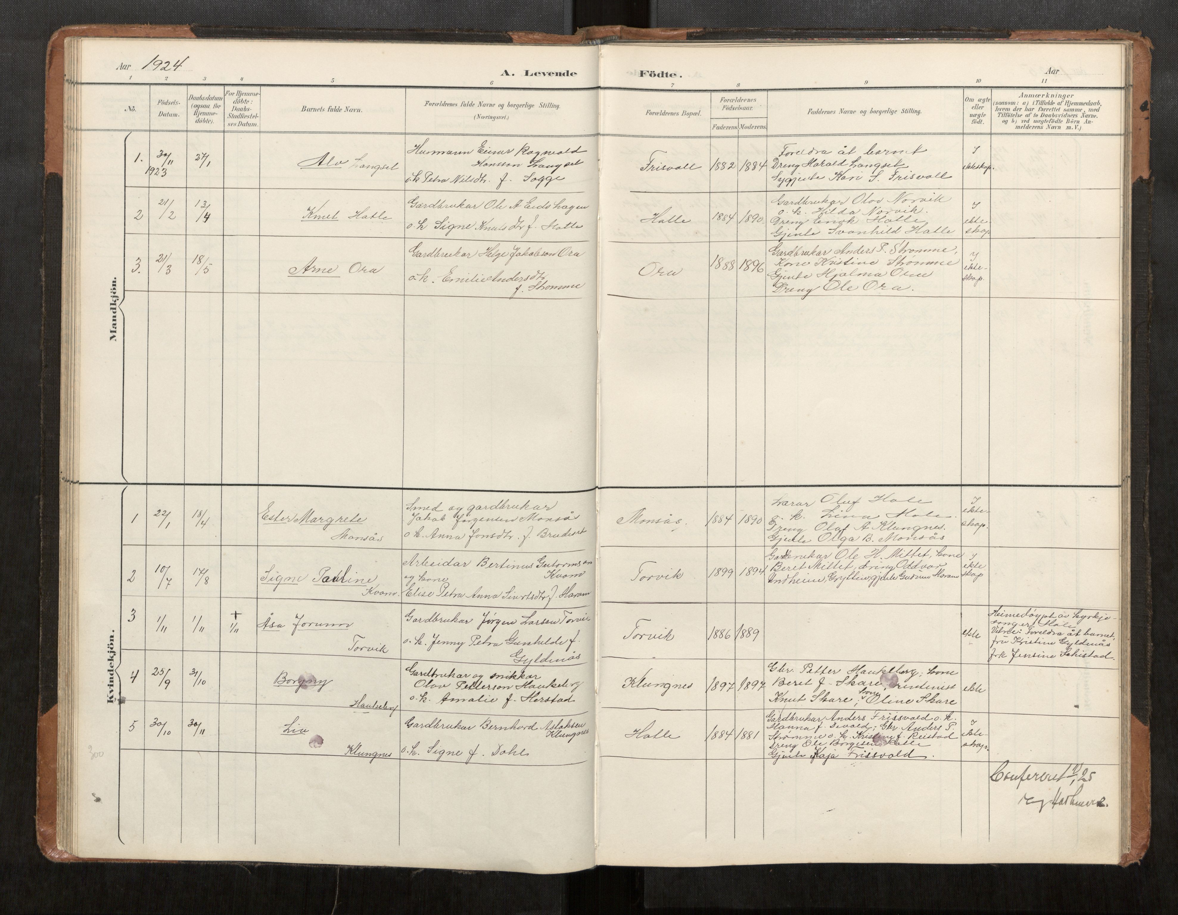 Ministerialprotokoller, klokkerbøker og fødselsregistre - Møre og Romsdal, AV/SAT-A-1454/542/L0561: Klokkerbok nr. 542C03, 1893-1931