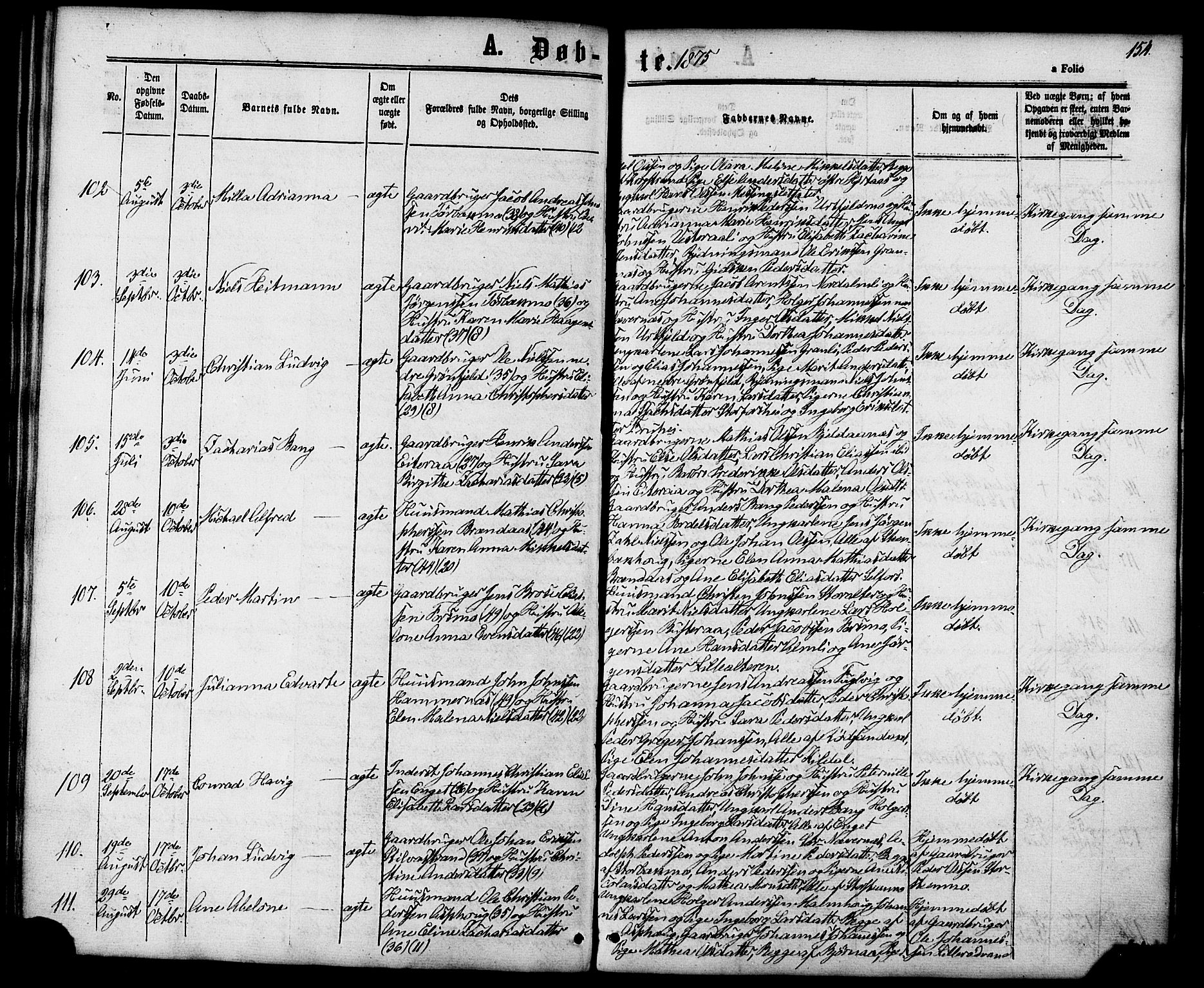 Ministerialprotokoller, klokkerbøker og fødselsregistre - Nordland, AV/SAT-A-1459/827/L0393: Ministerialbok nr. 827A05, 1863-1883, s. 154