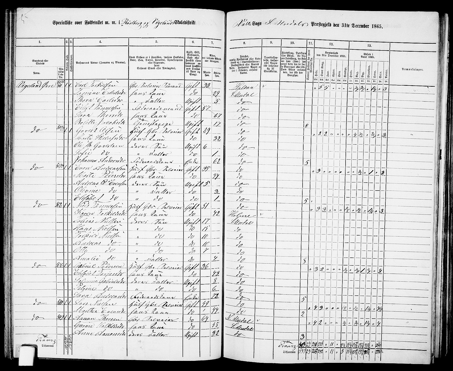 RA, Folketelling 1865 for 1029P Sør-Audnedal prestegjeld, 1865, s. 98