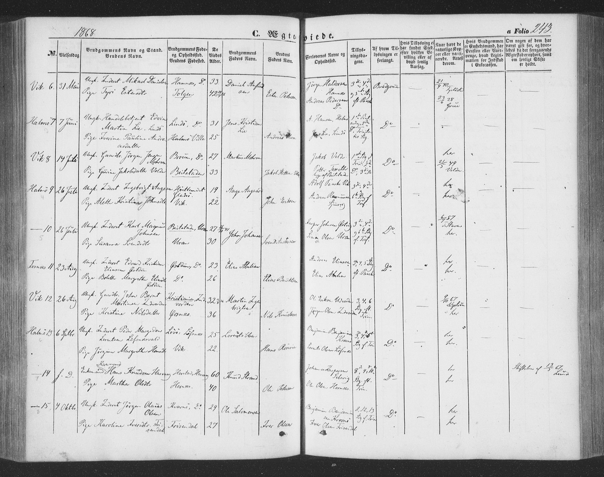 Ministerialprotokoller, klokkerbøker og fødselsregistre - Nord-Trøndelag, AV/SAT-A-1458/773/L0615: Ministerialbok nr. 773A06, 1857-1870, s. 243