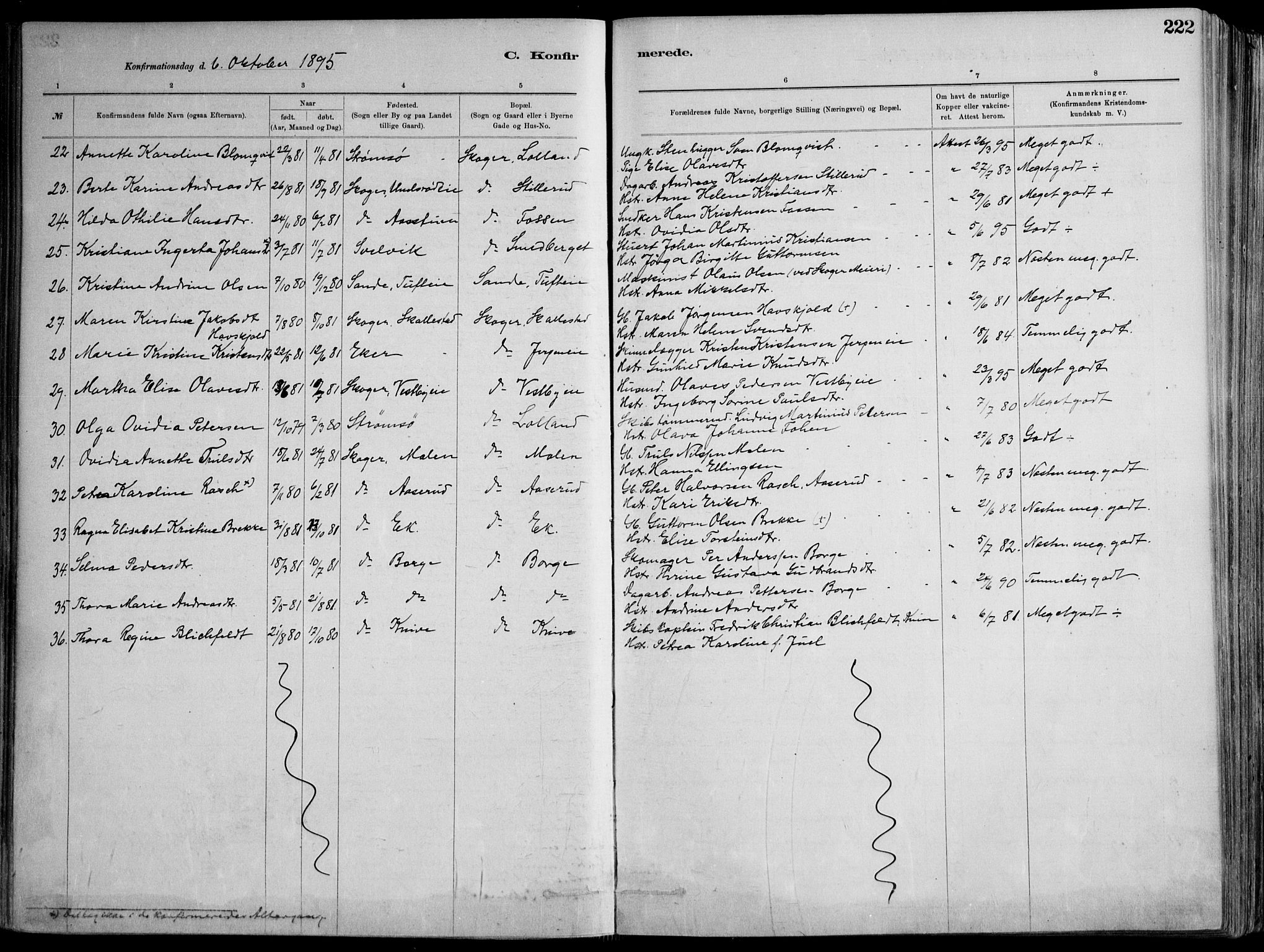 Skoger kirkebøker, AV/SAKO-A-59/F/Fa/L0006: Ministerialbok nr. I 6, 1885-1910, s. 222