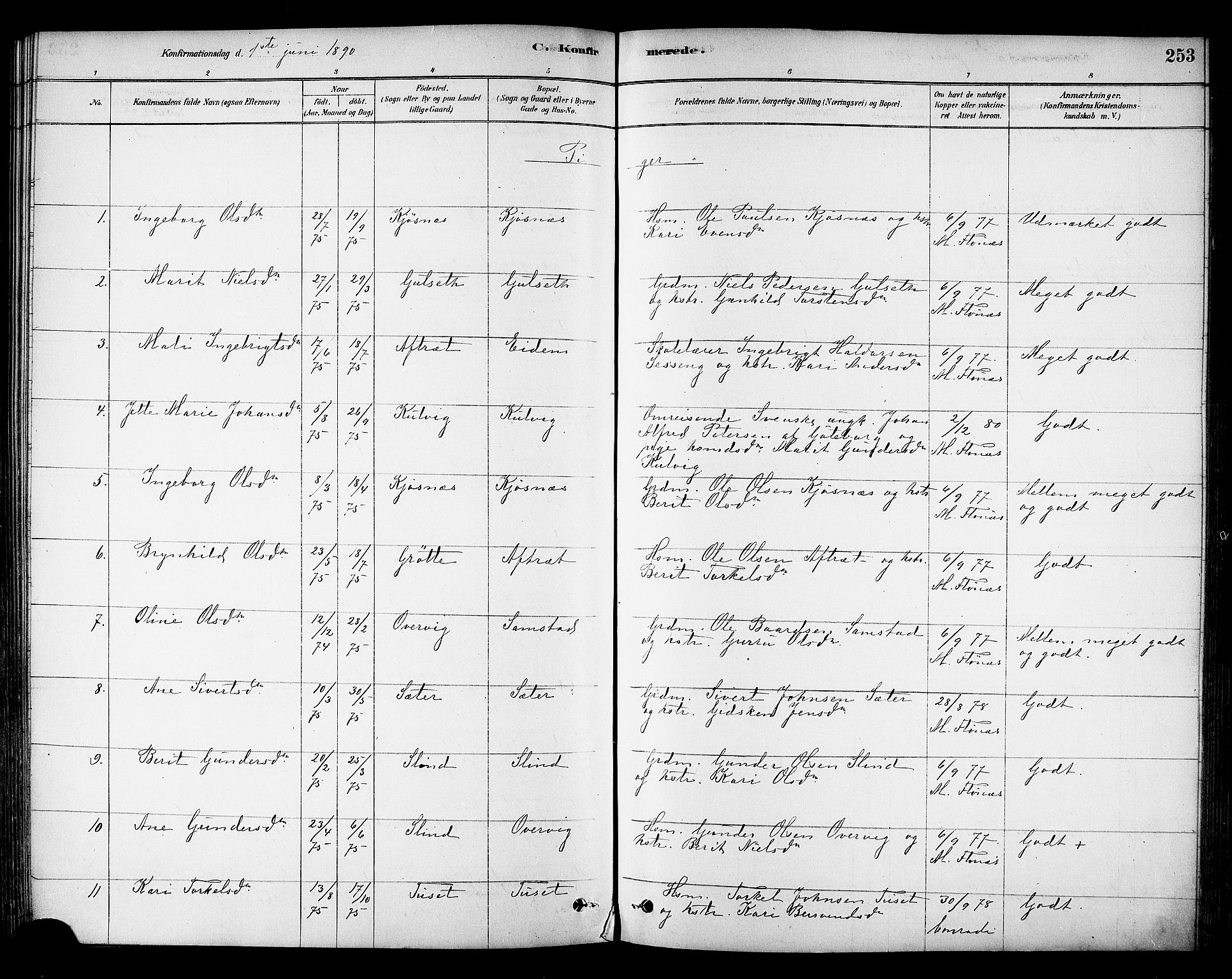 Ministerialprotokoller, klokkerbøker og fødselsregistre - Sør-Trøndelag, AV/SAT-A-1456/695/L1148: Ministerialbok nr. 695A08, 1878-1891, s. 253