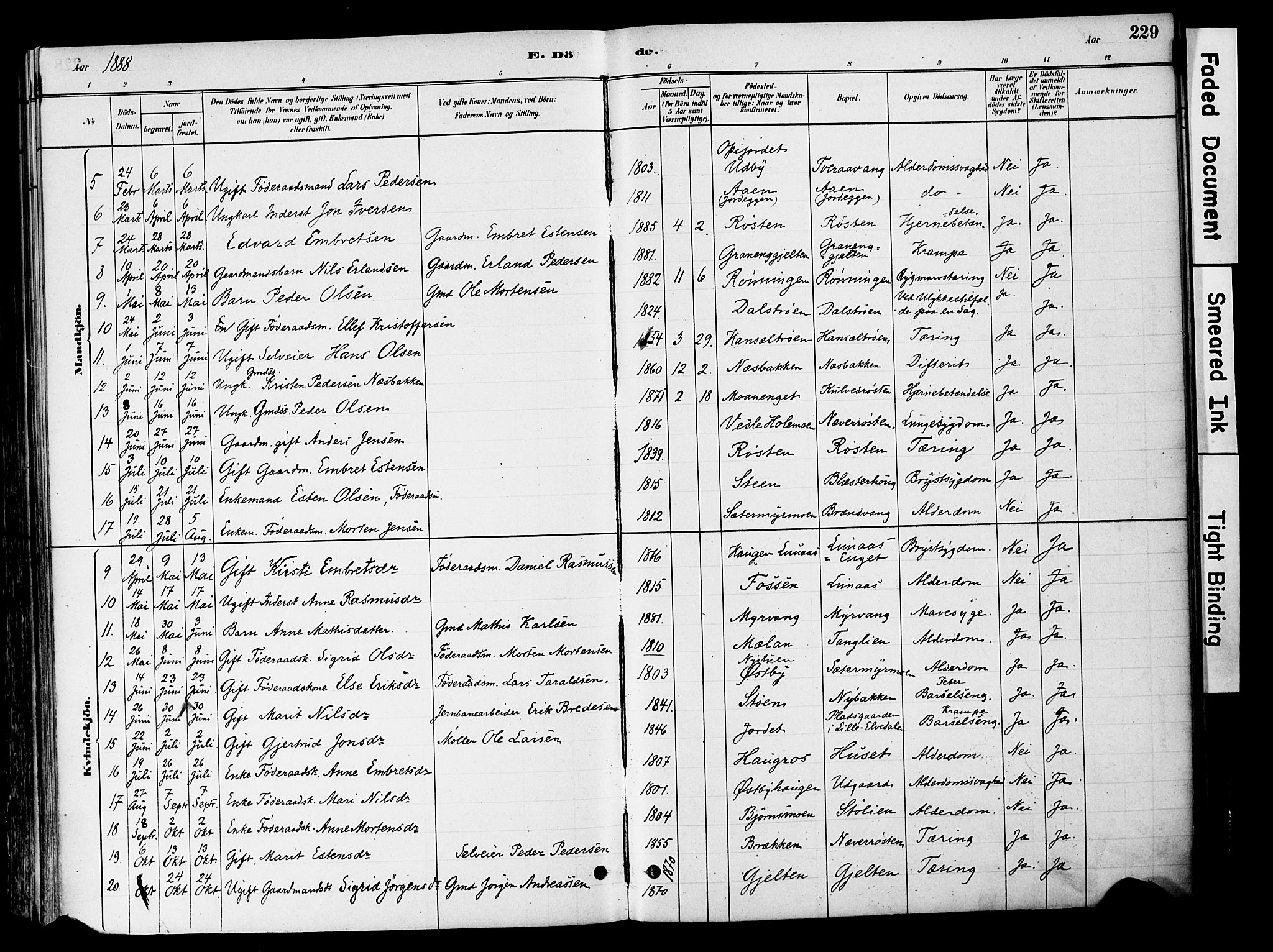 Tynset prestekontor, SAH/PREST-058/H/Ha/Haa/L0022: Ministerialbok nr. 22, 1880-1899, s. 229