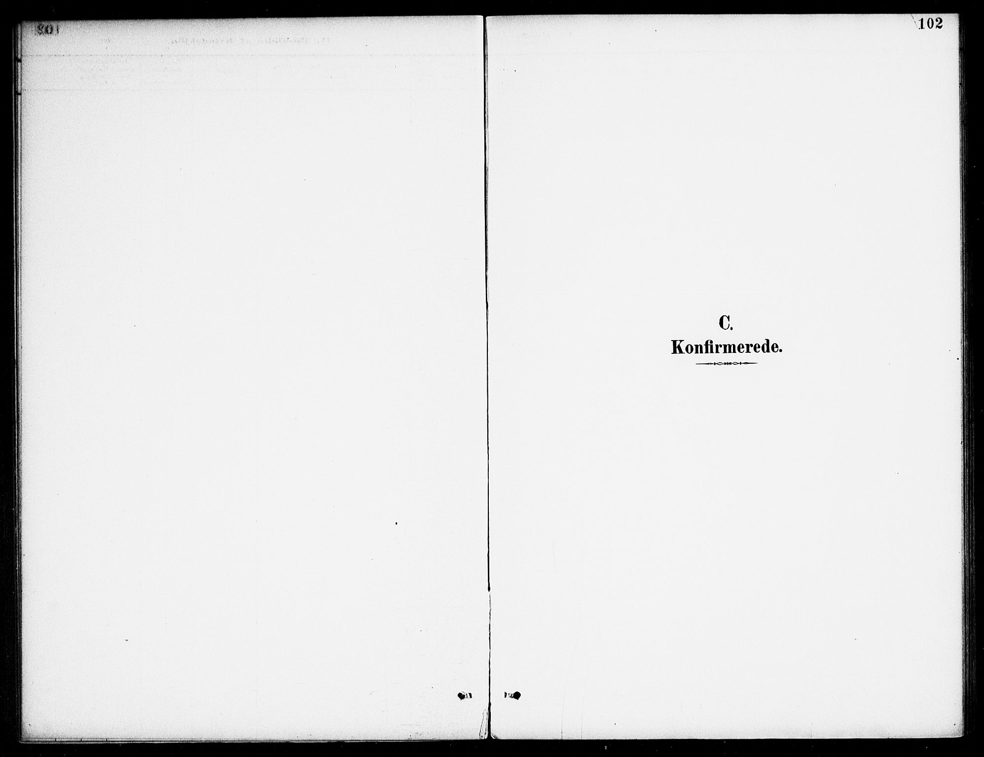 Bjelland sokneprestkontor, SAK/1111-0005/F/Fa/Fab/L0004: Ministerialbok nr. A 4, 1887-1920, s. 102