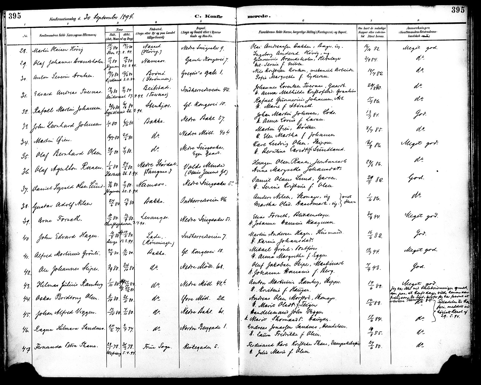 Ministerialprotokoller, klokkerbøker og fødselsregistre - Sør-Trøndelag, SAT/A-1456/604/L0197: Ministerialbok nr. 604A18, 1893-1900, s. 395