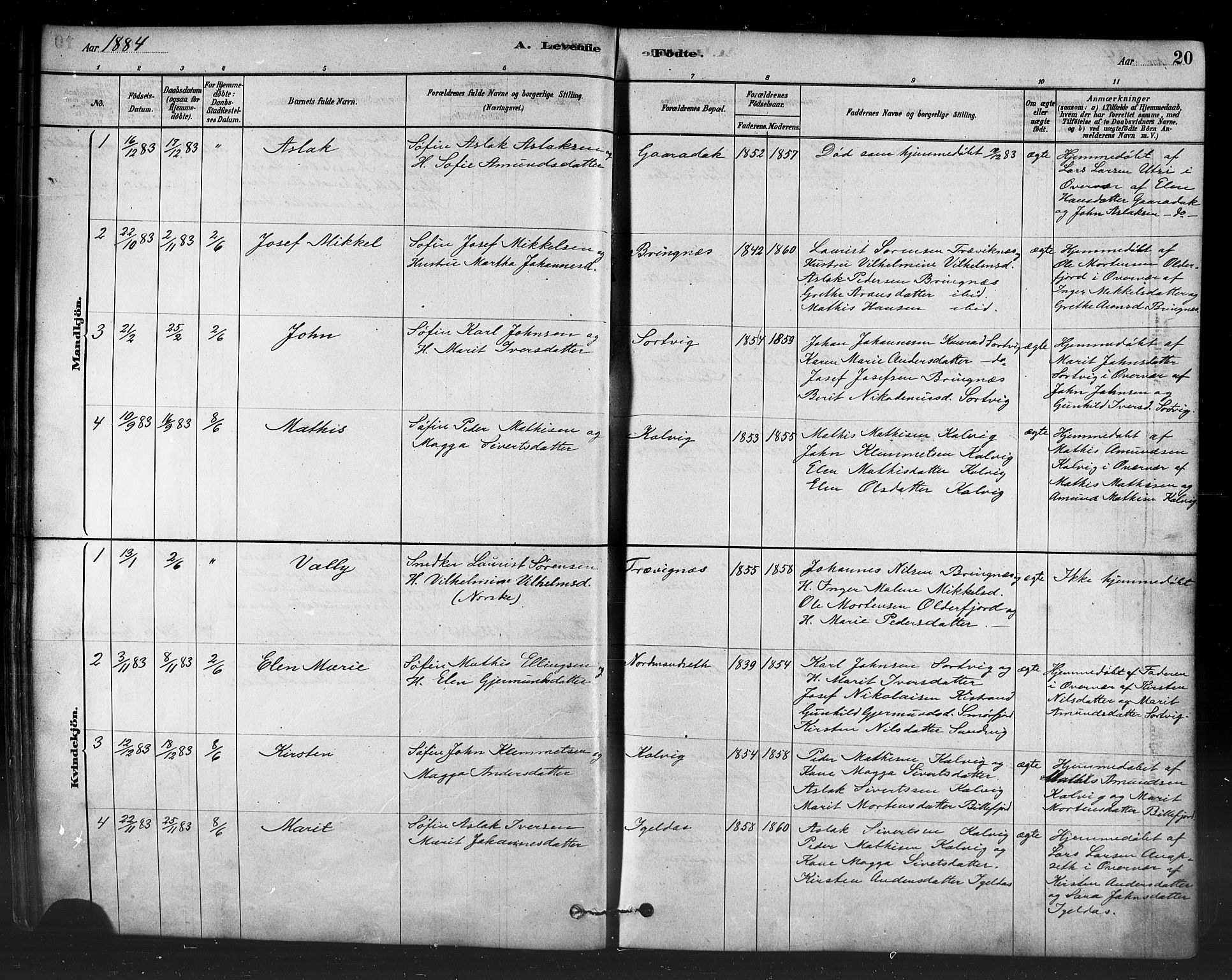 Kistrand/Porsanger sokneprestembete, AV/SATØ-S-1351/H/Ha/L0007.kirke: Ministerialbok nr. 7, 1881-1889, s. 20