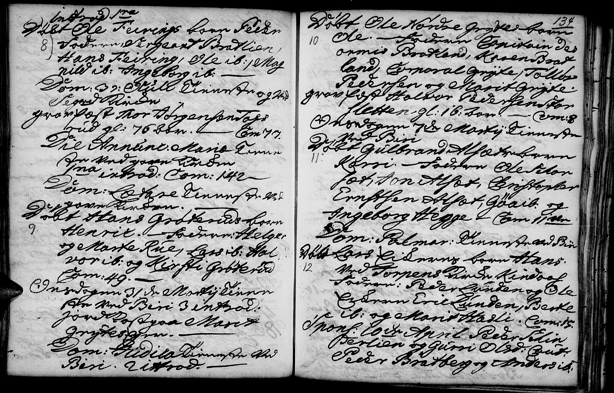 Biri prestekontor, AV/SAH-PREST-096/H/Ha/Haa/L0001: Ministerialbok nr. 1, 1730-1754, s. 134