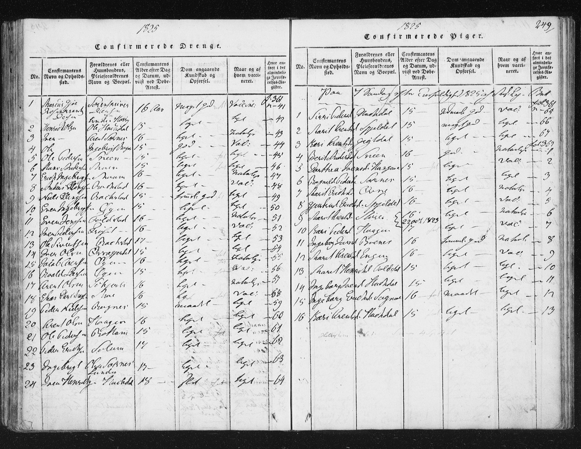 Ministerialprotokoller, klokkerbøker og fødselsregistre - Sør-Trøndelag, SAT/A-1456/687/L0996: Ministerialbok nr. 687A04, 1816-1842, s. 249