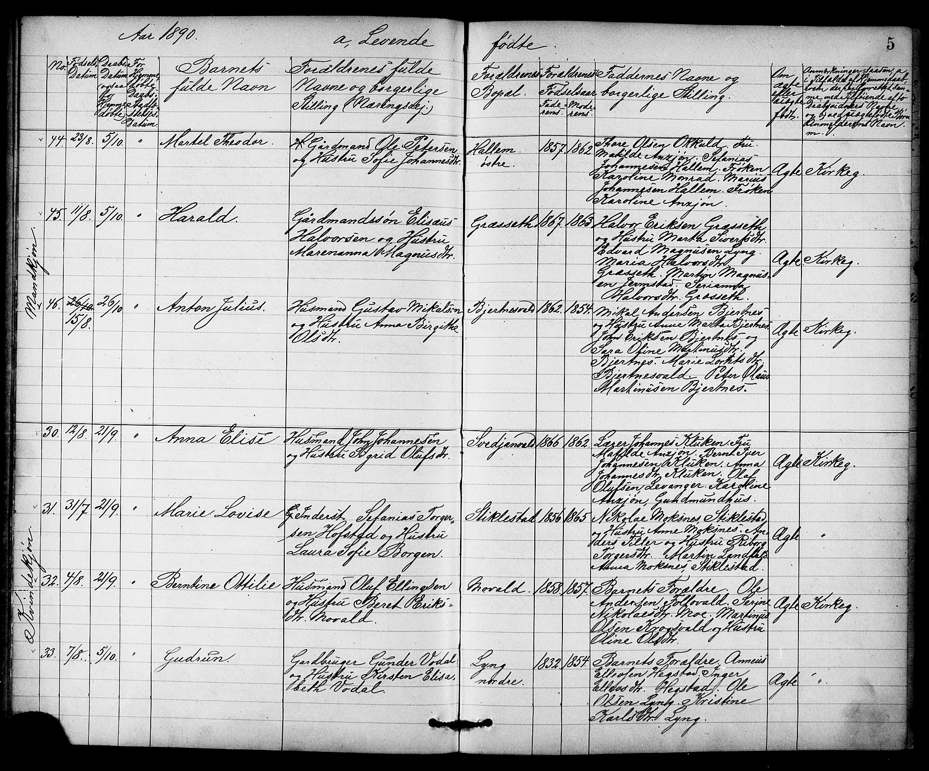 Ministerialprotokoller, klokkerbøker og fødselsregistre - Nord-Trøndelag, AV/SAT-A-1458/723/L0257: Klokkerbok nr. 723C05, 1890-1907, s. 5