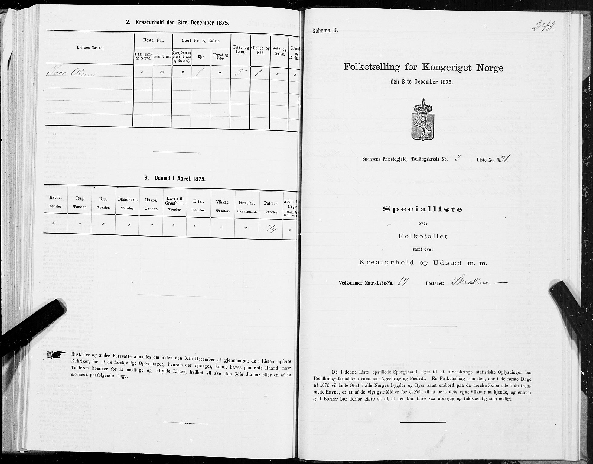 SAT, Folketelling 1875 for 1736P Snåsa prestegjeld, 1875, s. 1243