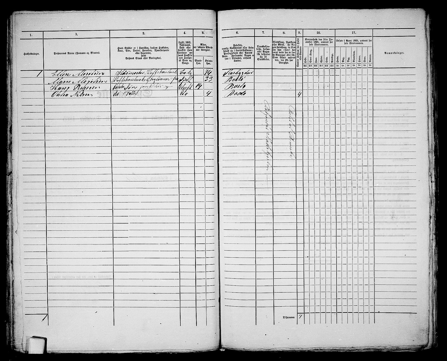 RA, Folketelling 1865 for 1804B Bodø prestegjeld, Bodø kjøpstad, 1865, s. 66