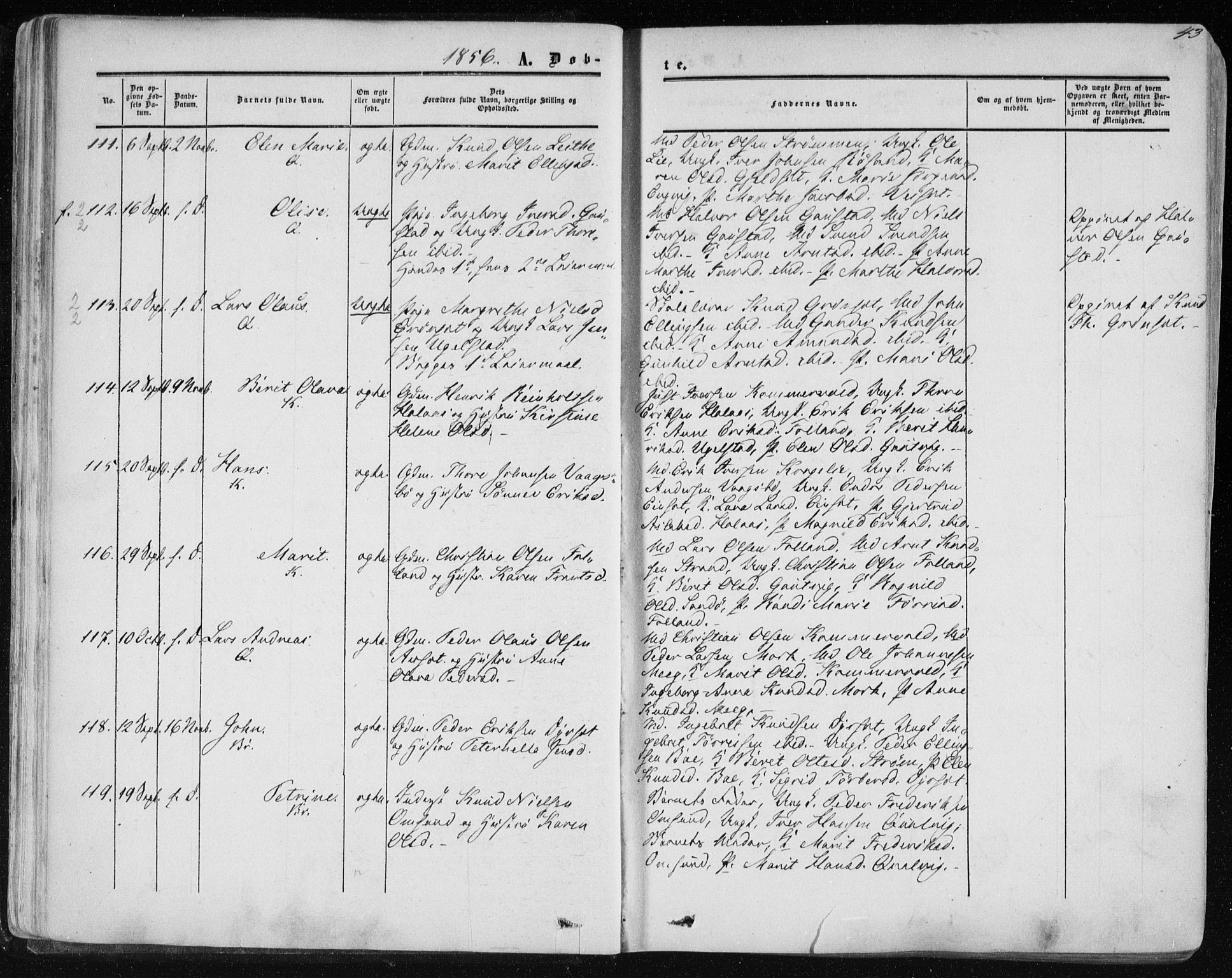 Ministerialprotokoller, klokkerbøker og fødselsregistre - Møre og Romsdal, AV/SAT-A-1454/568/L0804: Ministerialbok nr. 568A11, 1854-1868, s. 43