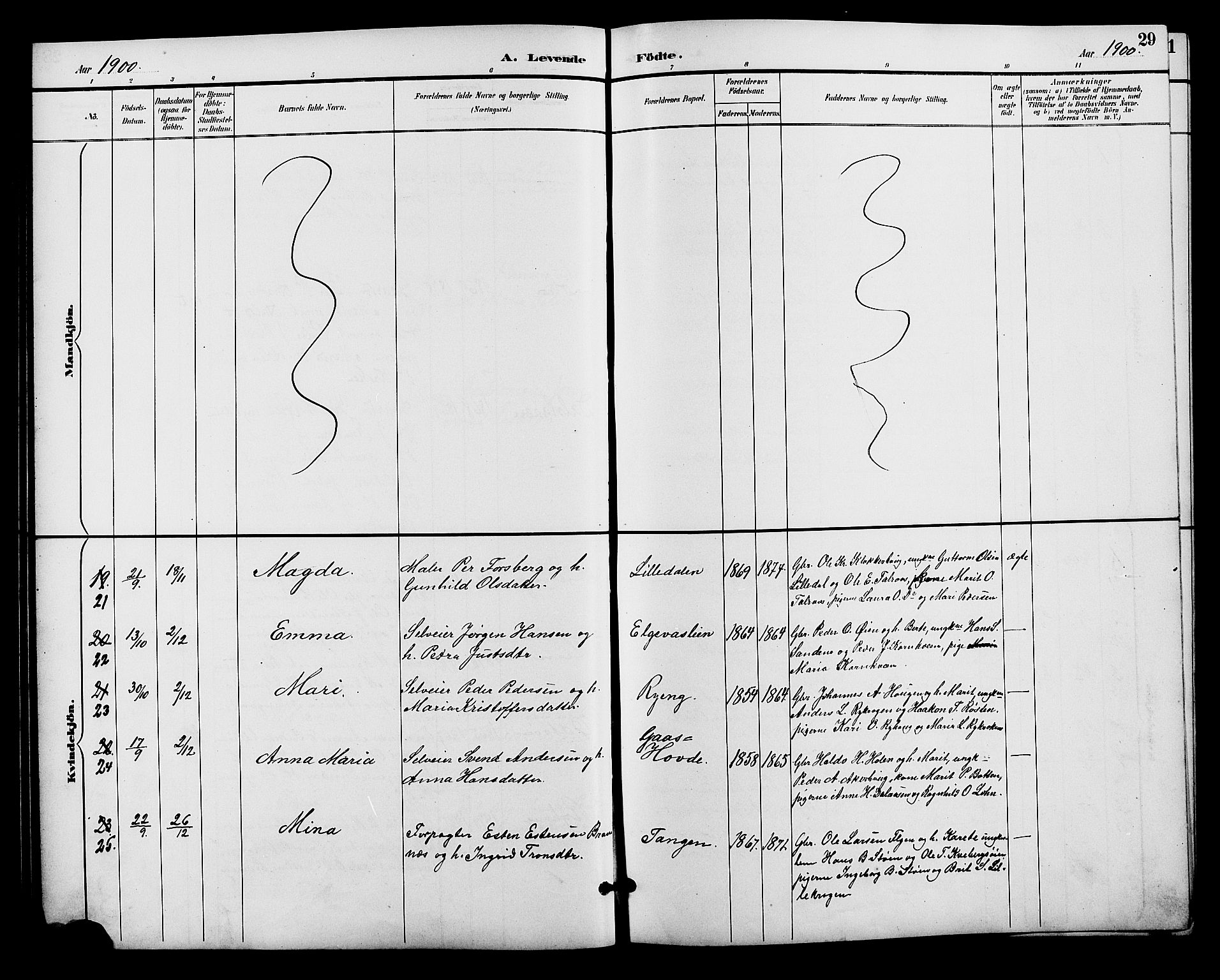 Alvdal prestekontor, SAH/PREST-060/H/Ha/Hab/L0004: Klokkerbok nr. 4, 1894-1910, s. 29