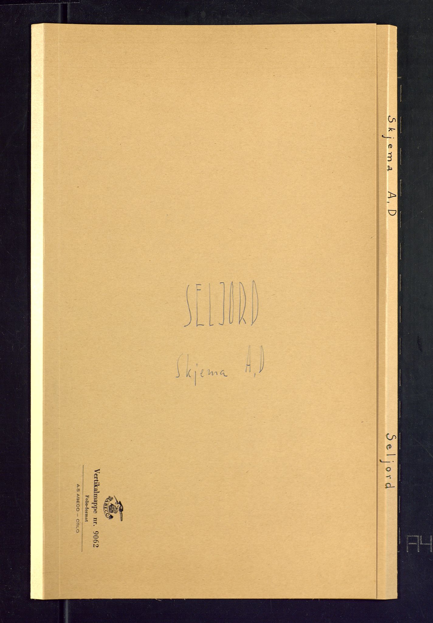 SAKO, Folketelling 1875 for 0828P Seljord prestegjeld, 1875, s. 61