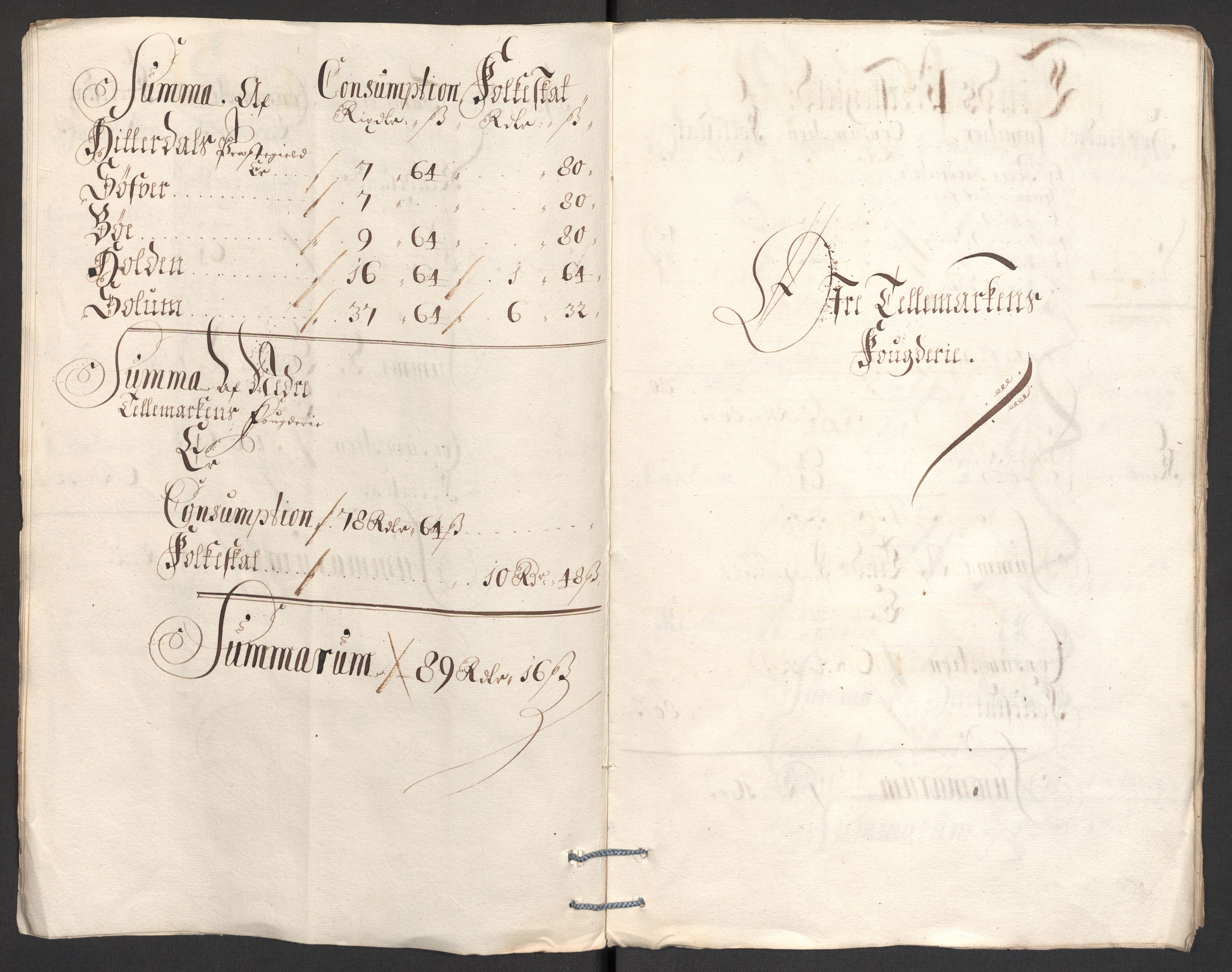 Rentekammeret inntil 1814, Reviderte regnskaper, Fogderegnskap, AV/RA-EA-4092/R36/L2101: Fogderegnskap Øvre og Nedre Telemark og Bamble, 1699, s. 49