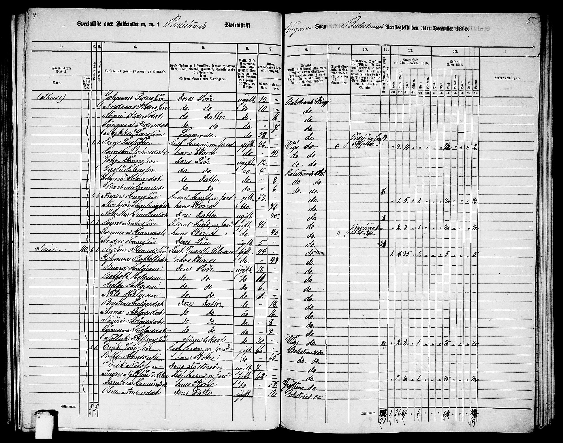 RA, Folketelling 1865 for 1418P Balestrand prestegjeld, 1865, s. 8