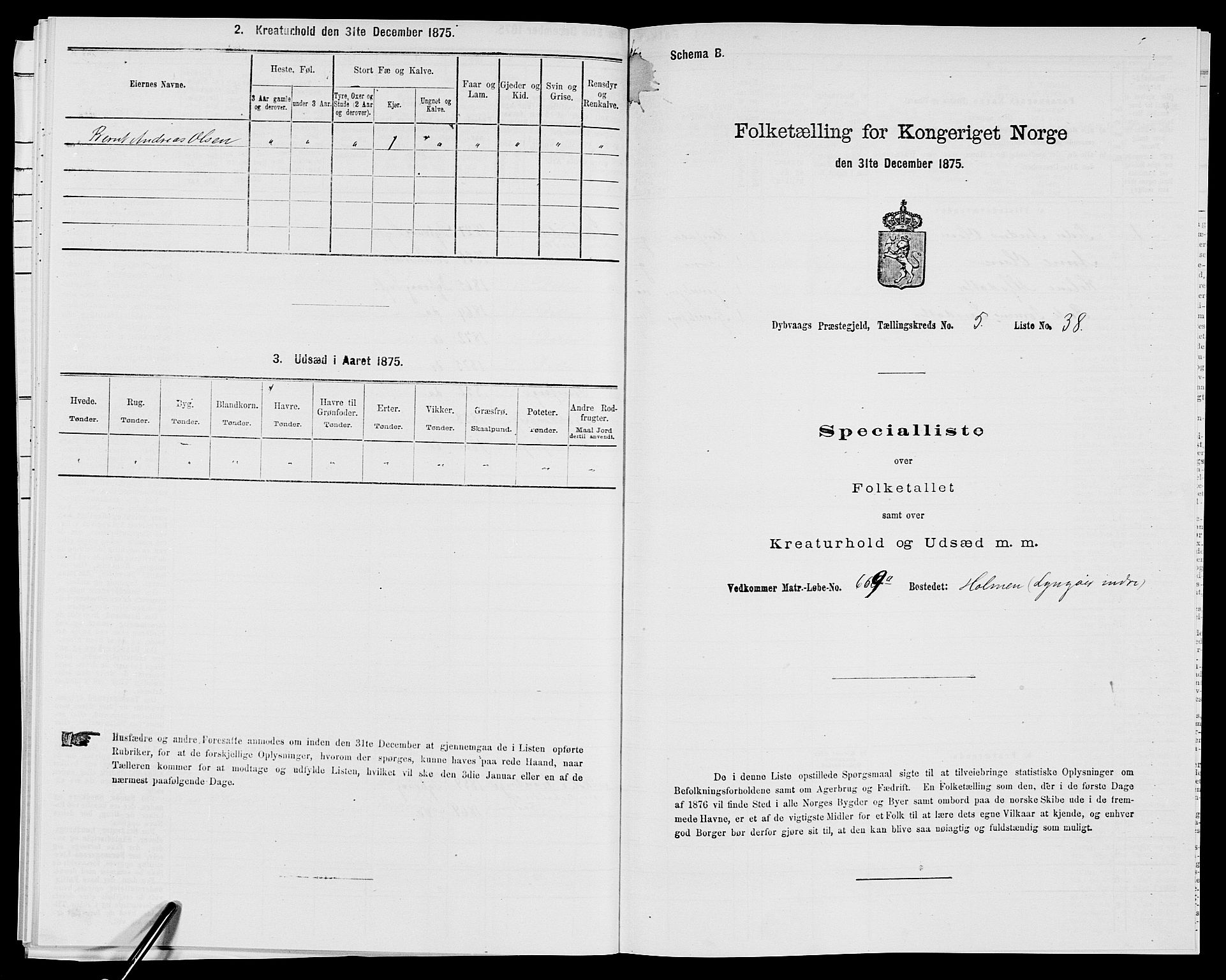 SAK, Folketelling 1875 for 0915P Dypvåg prestegjeld, 1875, s. 611