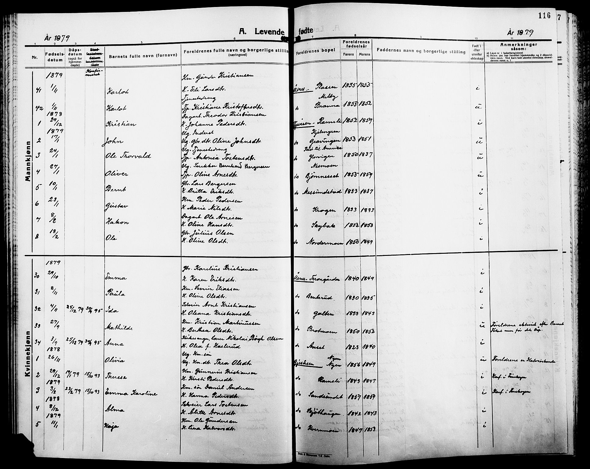 Åsnes prestekontor, AV/SAH-PREST-042/H/Ha/Haa/L0000B: Ministerialbok, 1870-1889, s. 116