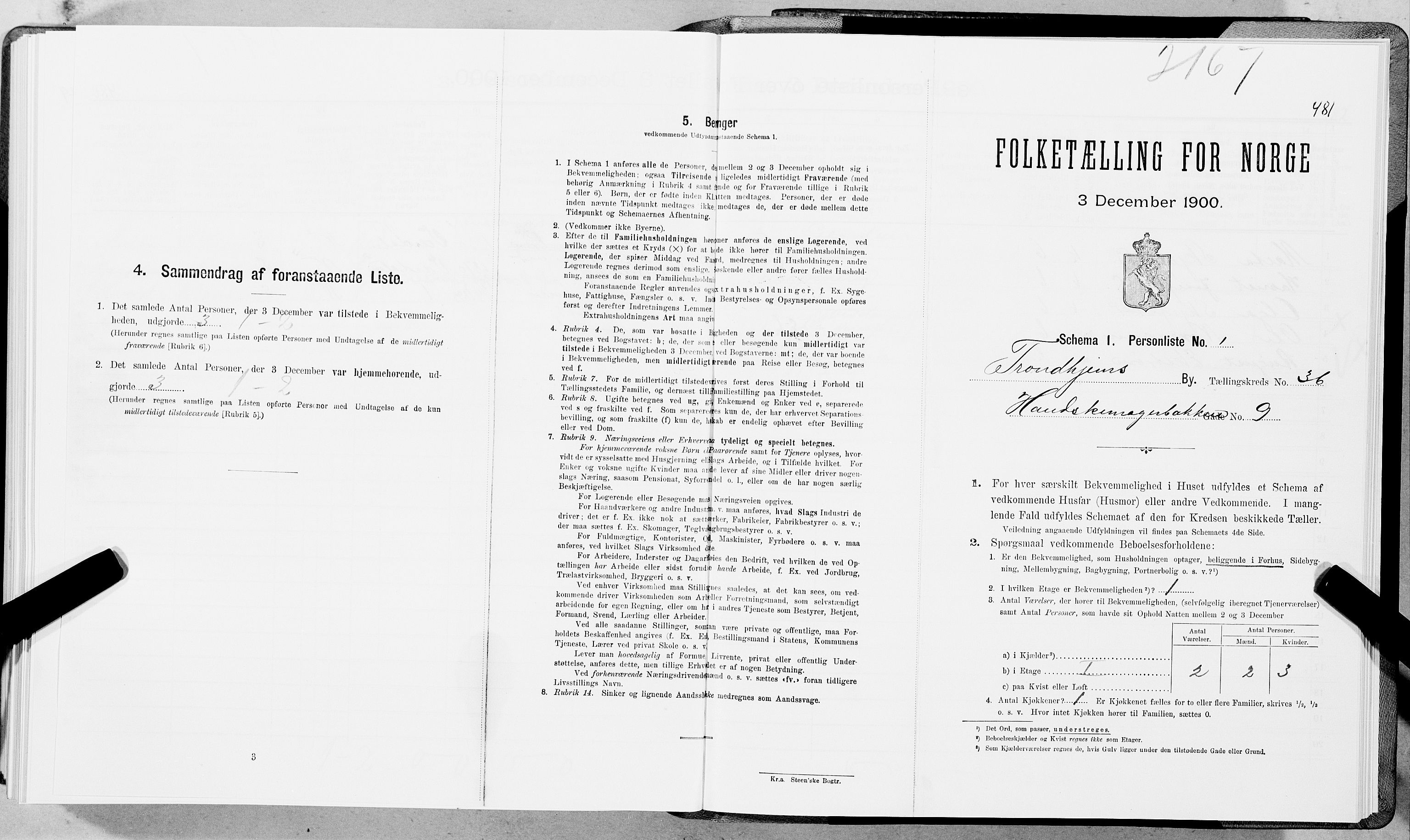 SAT, Folketelling 1900 for 1601 Trondheim kjøpstad, 1900, s. 6248