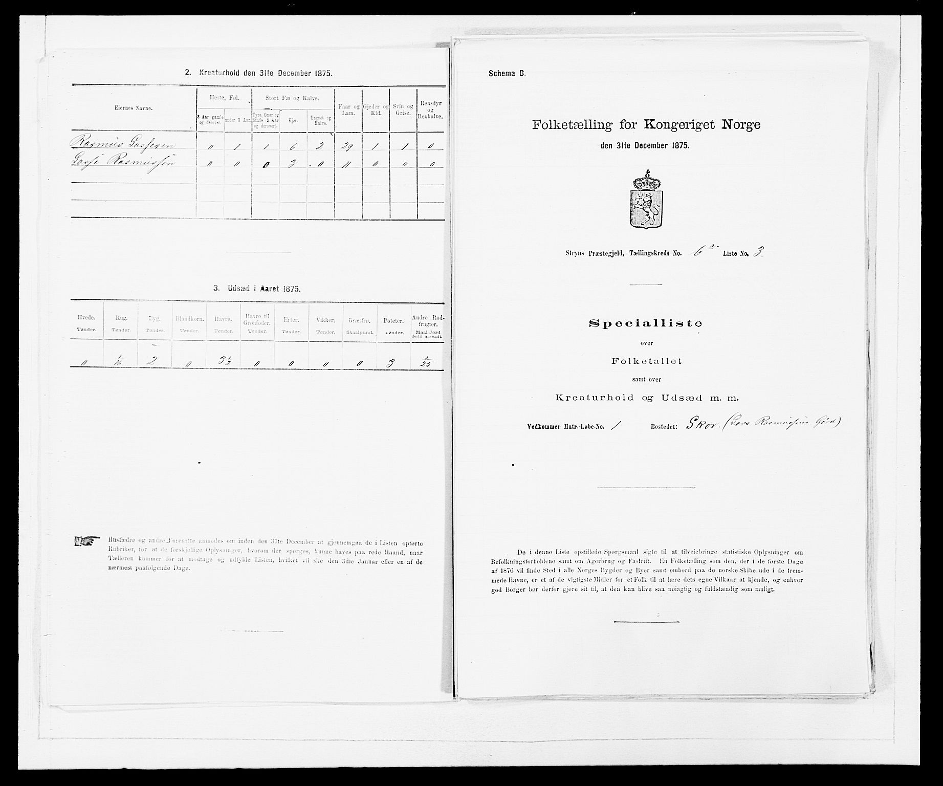 SAB, Folketelling 1875 for 1448P Stryn prestegjeld, 1875, s. 399