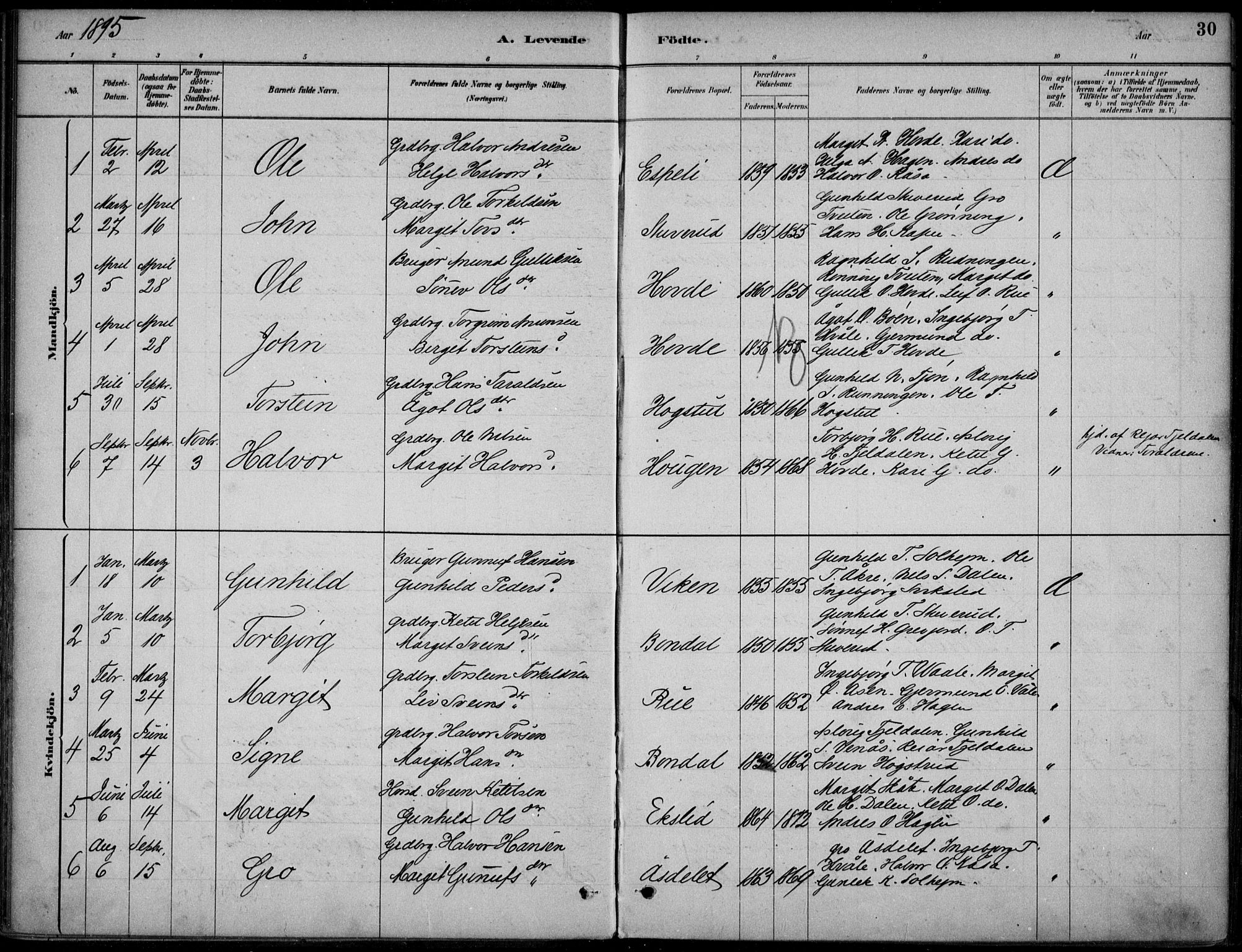 Hjartdal kirkebøker, AV/SAKO-A-270/F/Fc/L0002: Ministerialbok nr. III 2, 1880-1936, s. 30