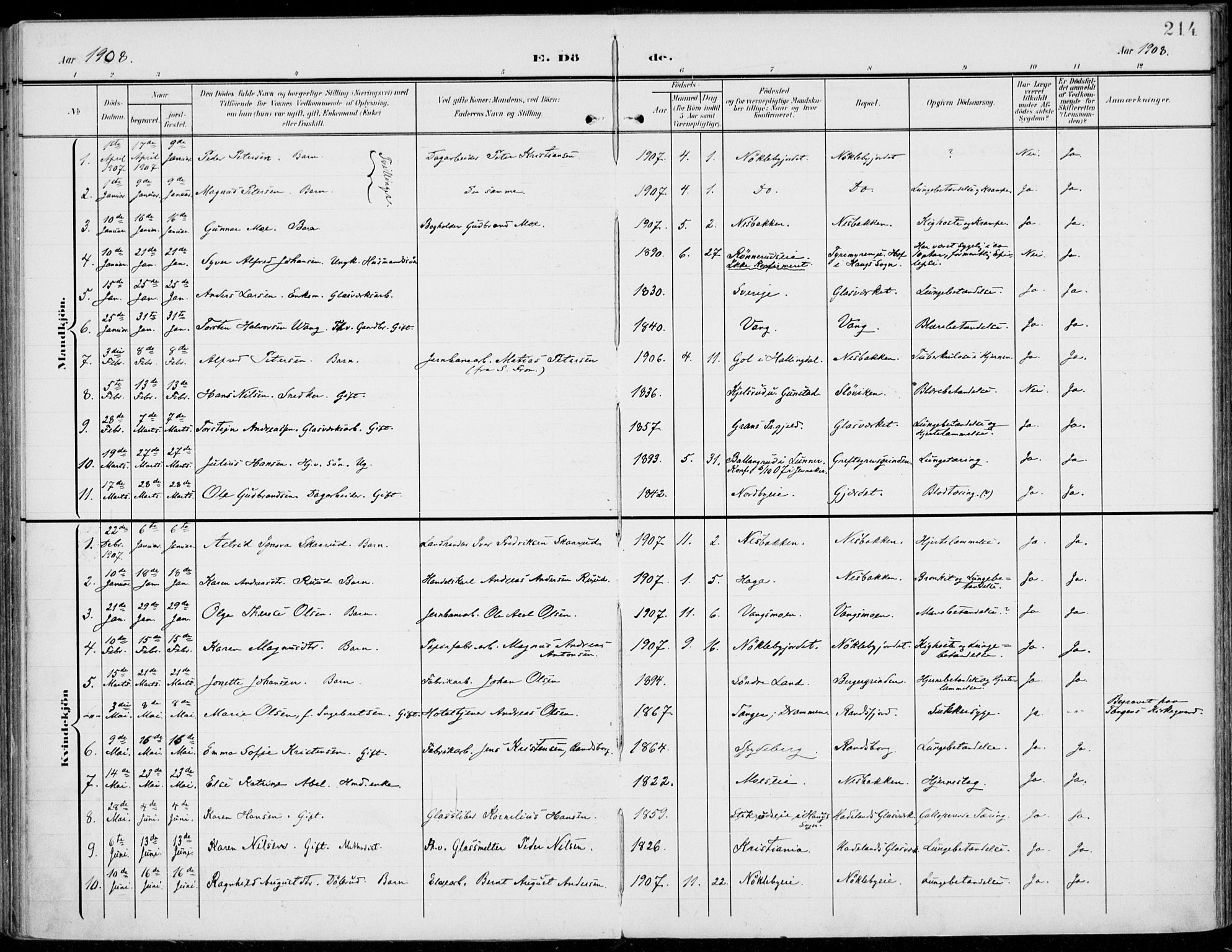 Jevnaker prestekontor, SAH/PREST-116/H/Ha/Haa/L0011: Ministerialbok nr. 11, 1902-1913, s. 214