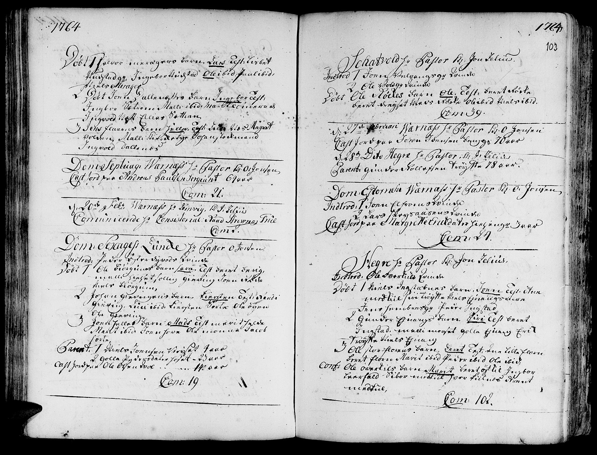 Ministerialprotokoller, klokkerbøker og fødselsregistre - Nord-Trøndelag, AV/SAT-A-1458/709/L0057: Ministerialbok nr. 709A05, 1755-1780, s. 103
