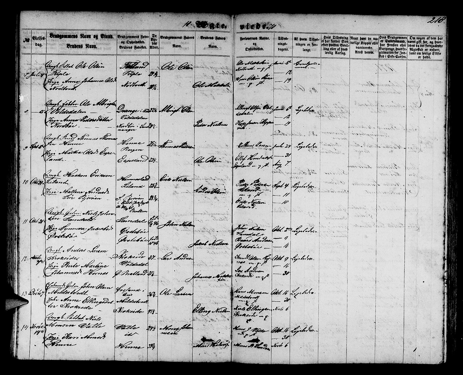 Fana Sokneprestembete, AV/SAB-A-75101/H/Hab/Habb/L0003: Klokkerbok nr. B 3, 1861-1888, s. 218