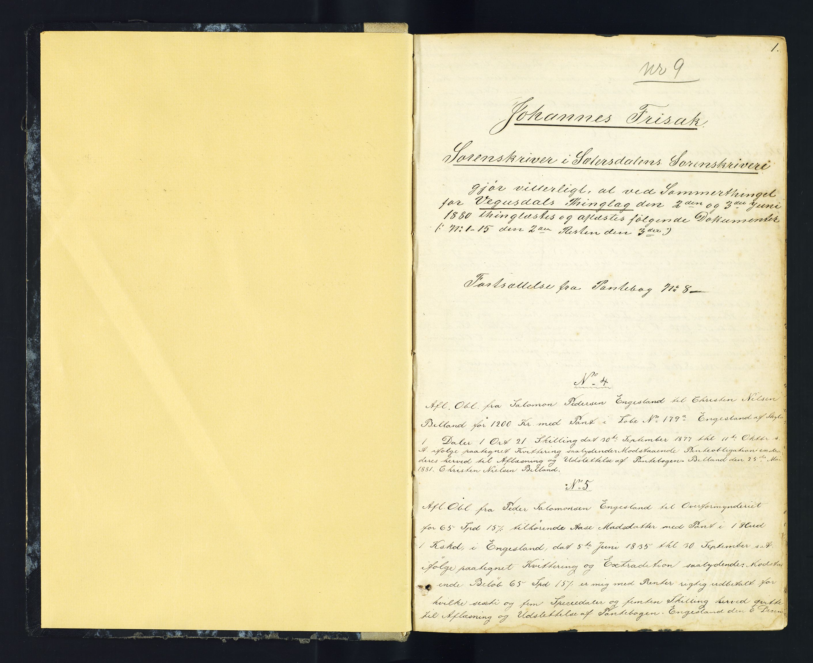 Setesdal sorenskriveri, AV/SAK-1221-0011/G/Gb/L0010: Pantebok nr. 9, 1880-1886, s. 1