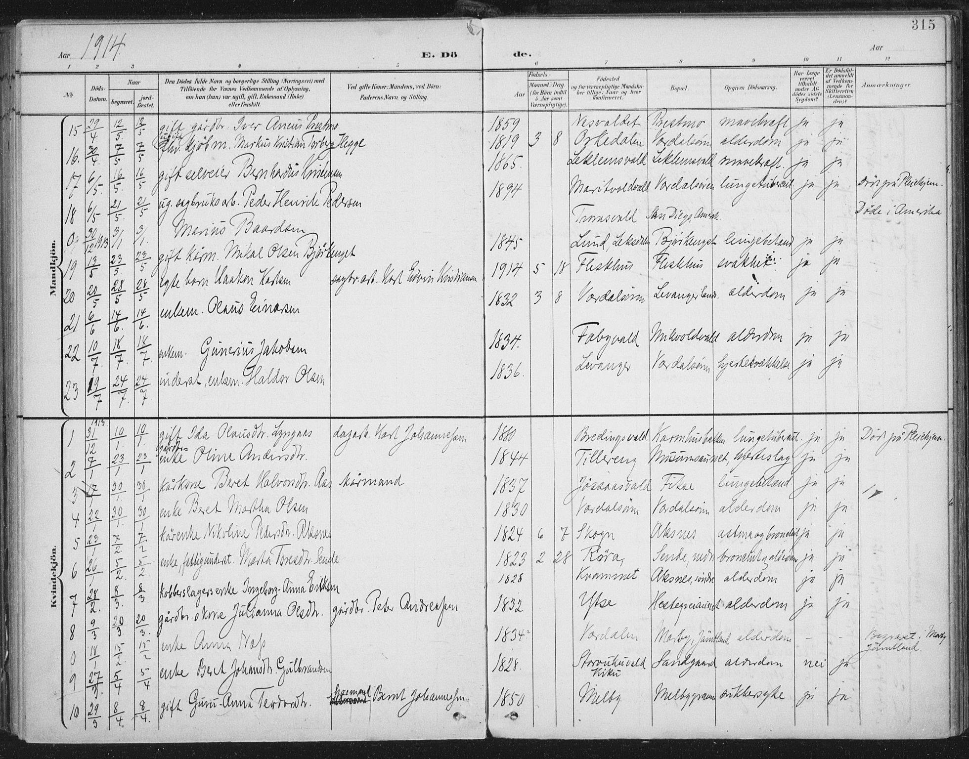 Ministerialprotokoller, klokkerbøker og fødselsregistre - Nord-Trøndelag, AV/SAT-A-1458/723/L0246: Ministerialbok nr. 723A15, 1900-1917, s. 315