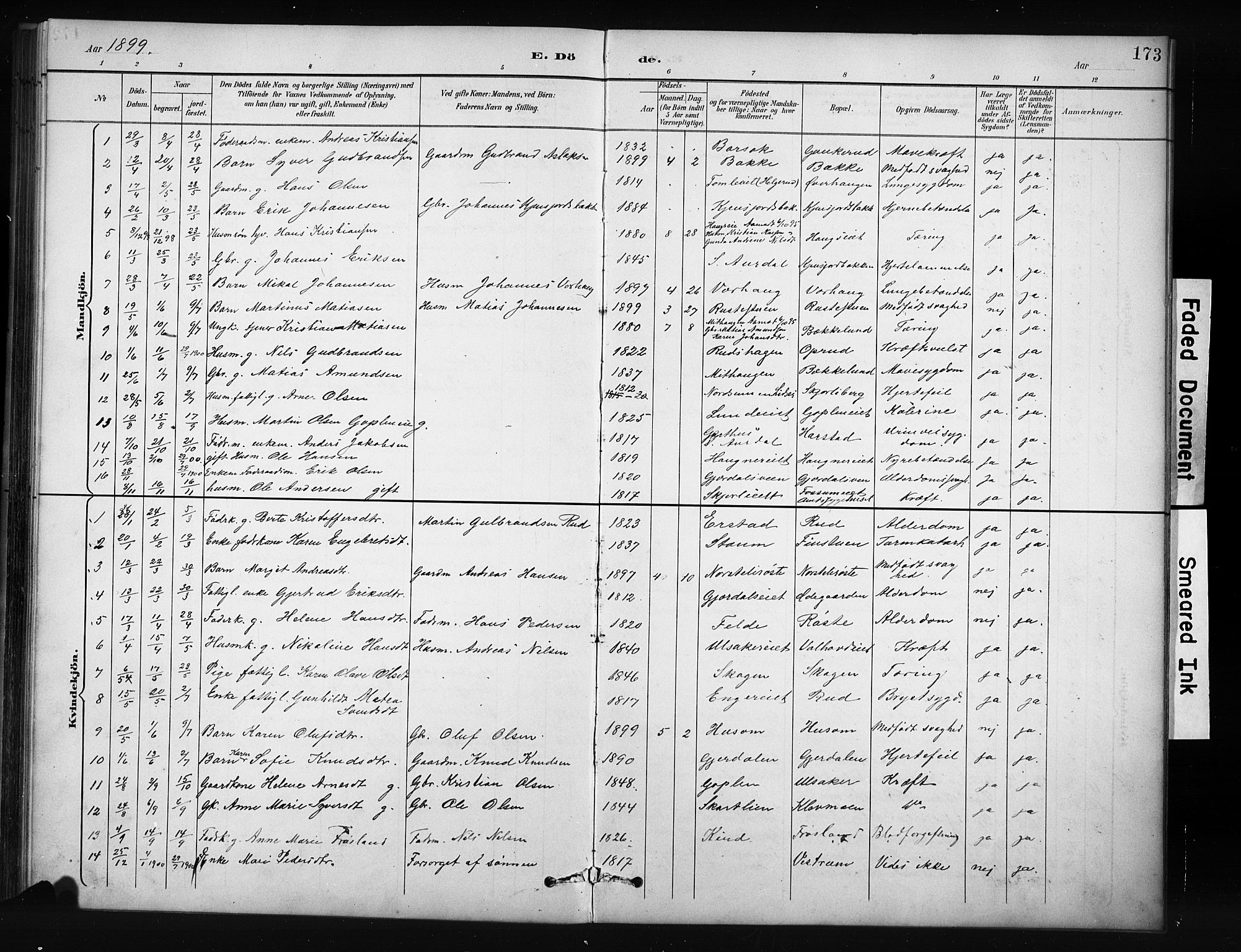 Nordre Land prestekontor, SAH/PREST-124/H/Ha/Hab/L0012: Klokkerbok nr. 12, 1891-1909, s. 173