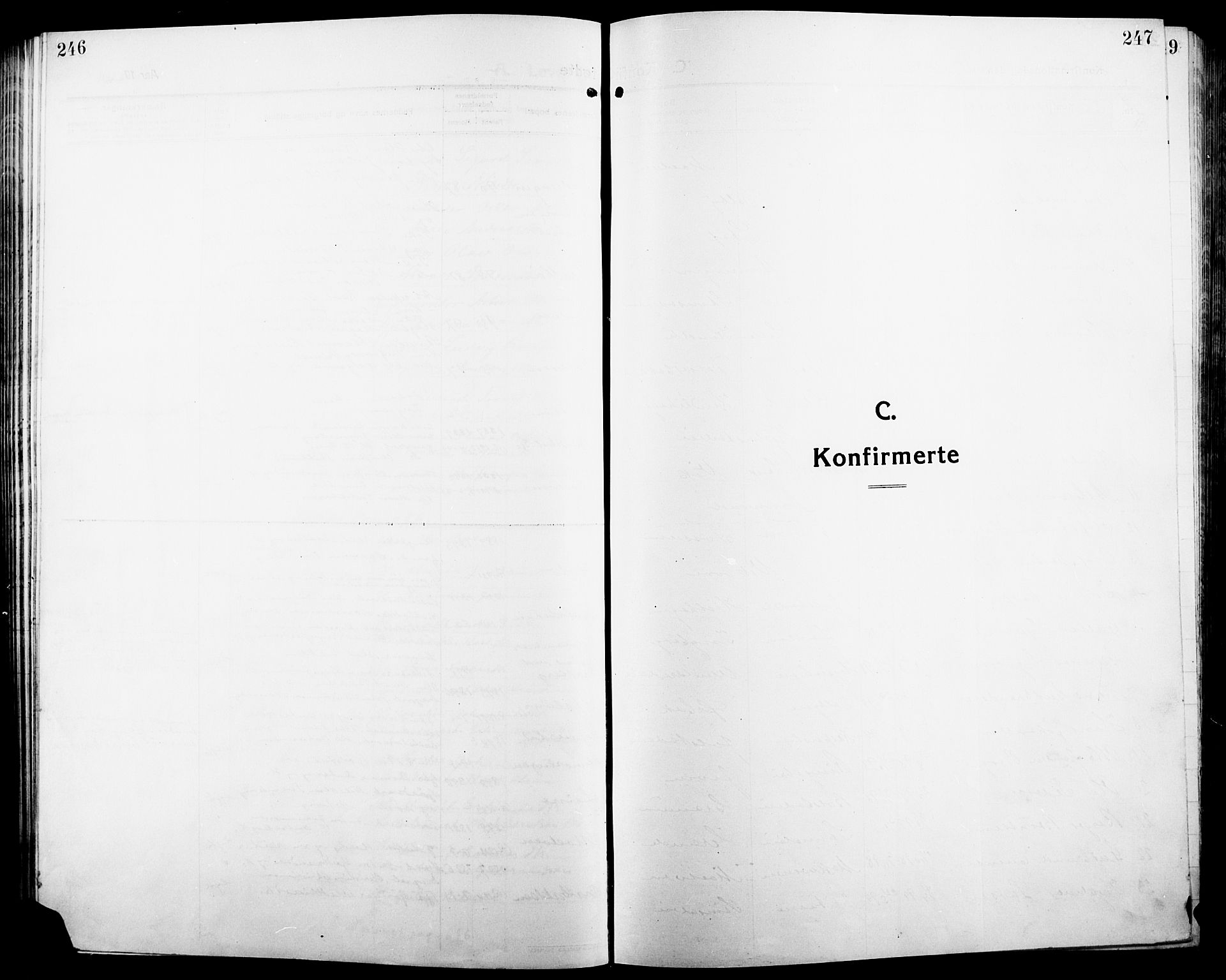 Ringsaker prestekontor, SAH/PREST-014/L/La/L0018: Klokkerbok nr. 18, 1913-1922, s. 246-247