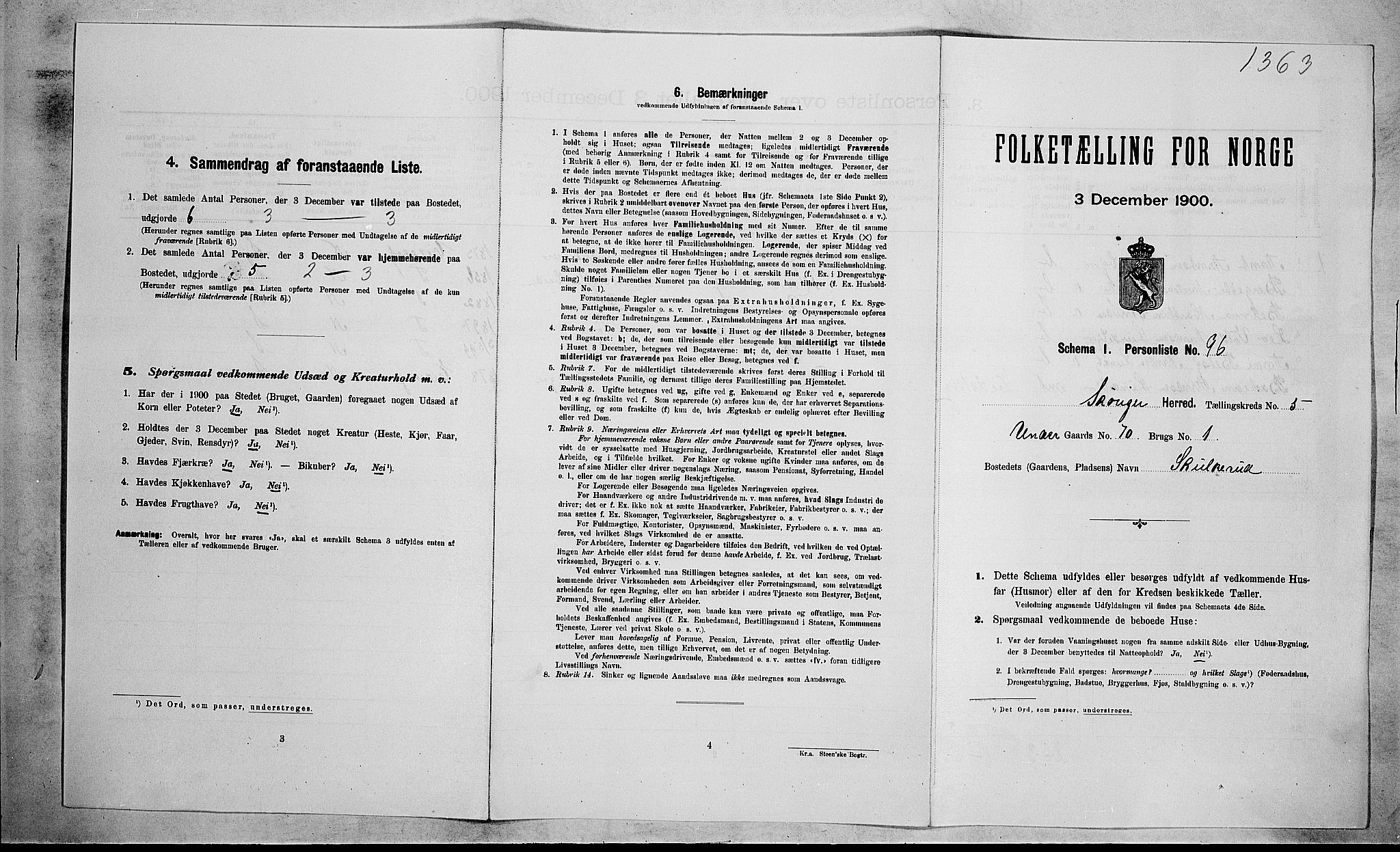 RA, Folketelling 1900 for 0712 Skoger herred, 1900, s. 984
