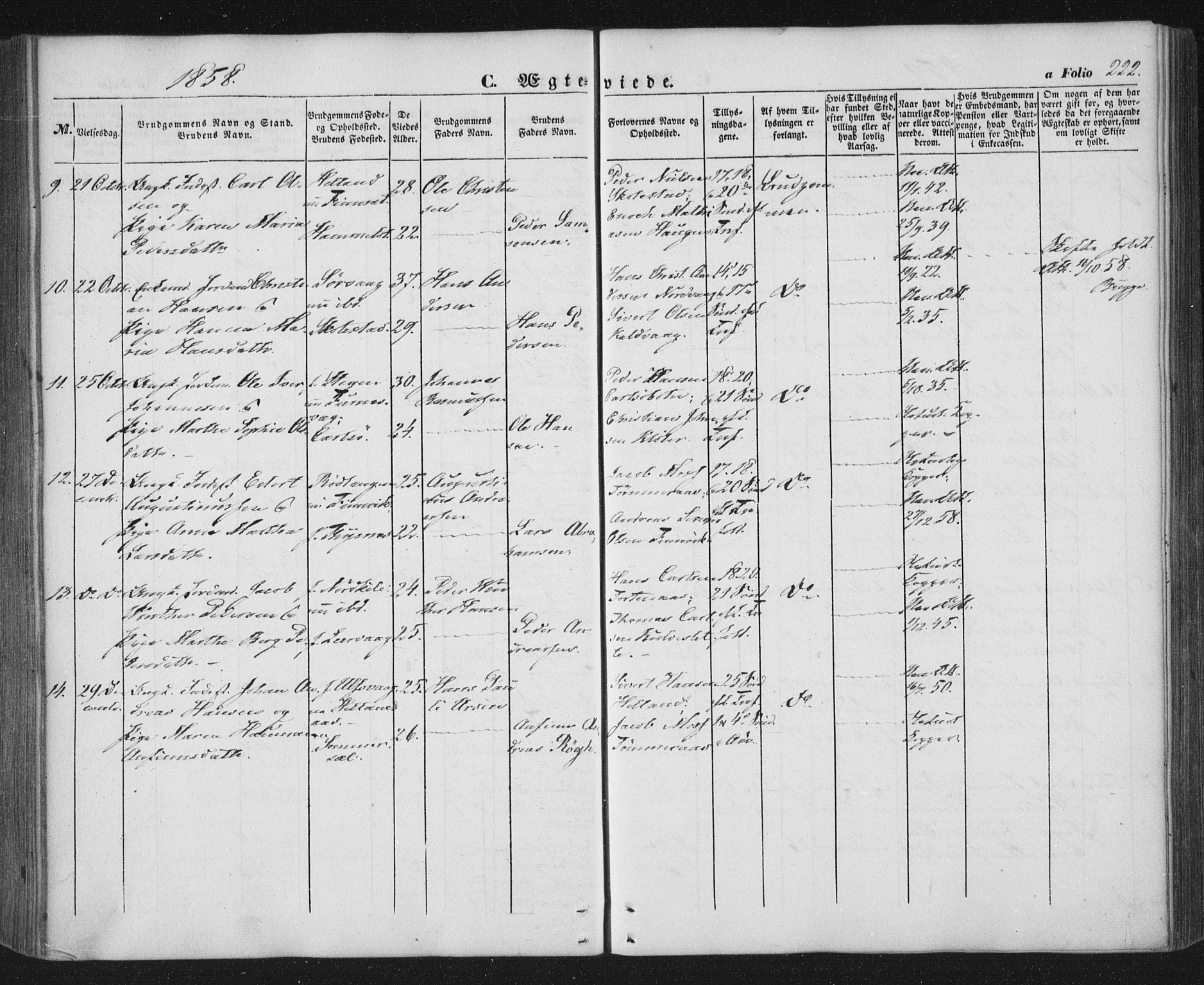 Ministerialprotokoller, klokkerbøker og fødselsregistre - Nordland, AV/SAT-A-1459/859/L0844: Ministerialbok nr. 859A04, 1849-1862, s. 222