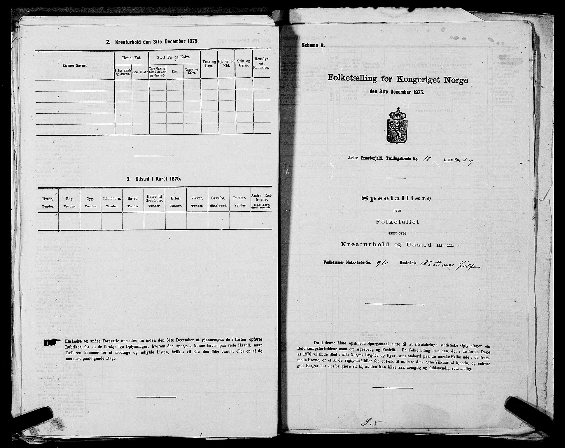 SAST, Folketelling 1875 for 1138P Jelsa prestegjeld, 1875, s. 965