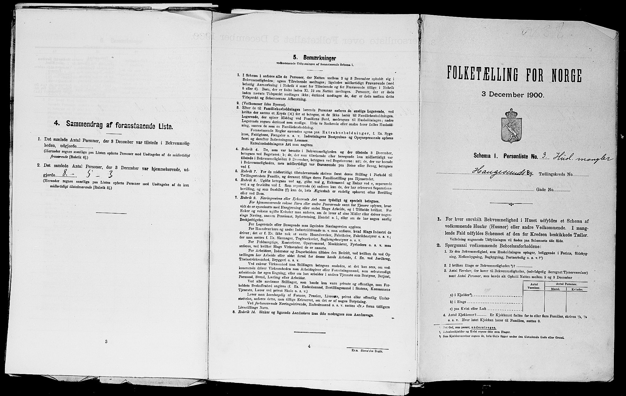 SAST, Folketelling 1900 for 1106 Haugesund kjøpstad, 1900, s. 2404
