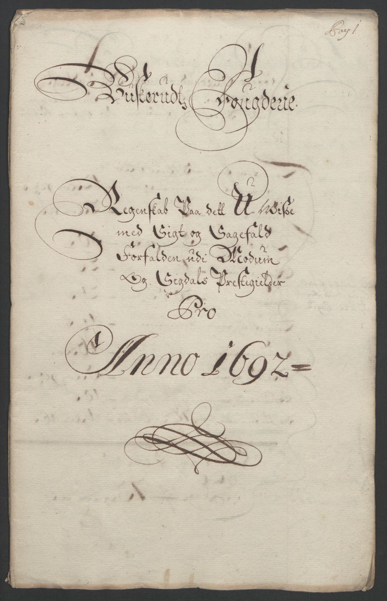 Rentekammeret inntil 1814, Reviderte regnskaper, Fogderegnskap, AV/RA-EA-4092/R25/L1681: Fogderegnskap Buskerud, 1691-1692, s. 338